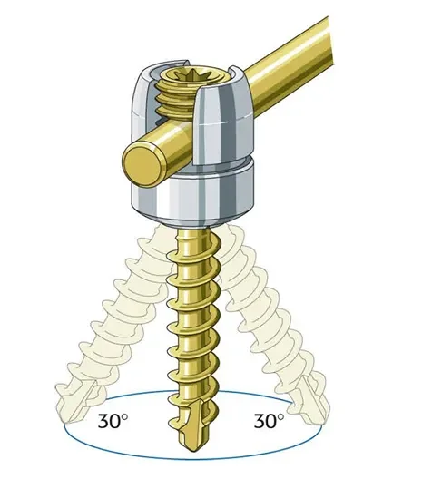 nougat_PF_Med_Ill_05_Page_13 2.webp