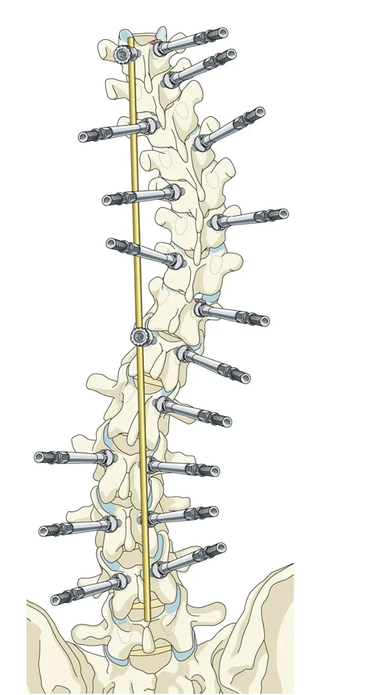 nougat_PF_Med_Ill_05_Page_16 1.webp