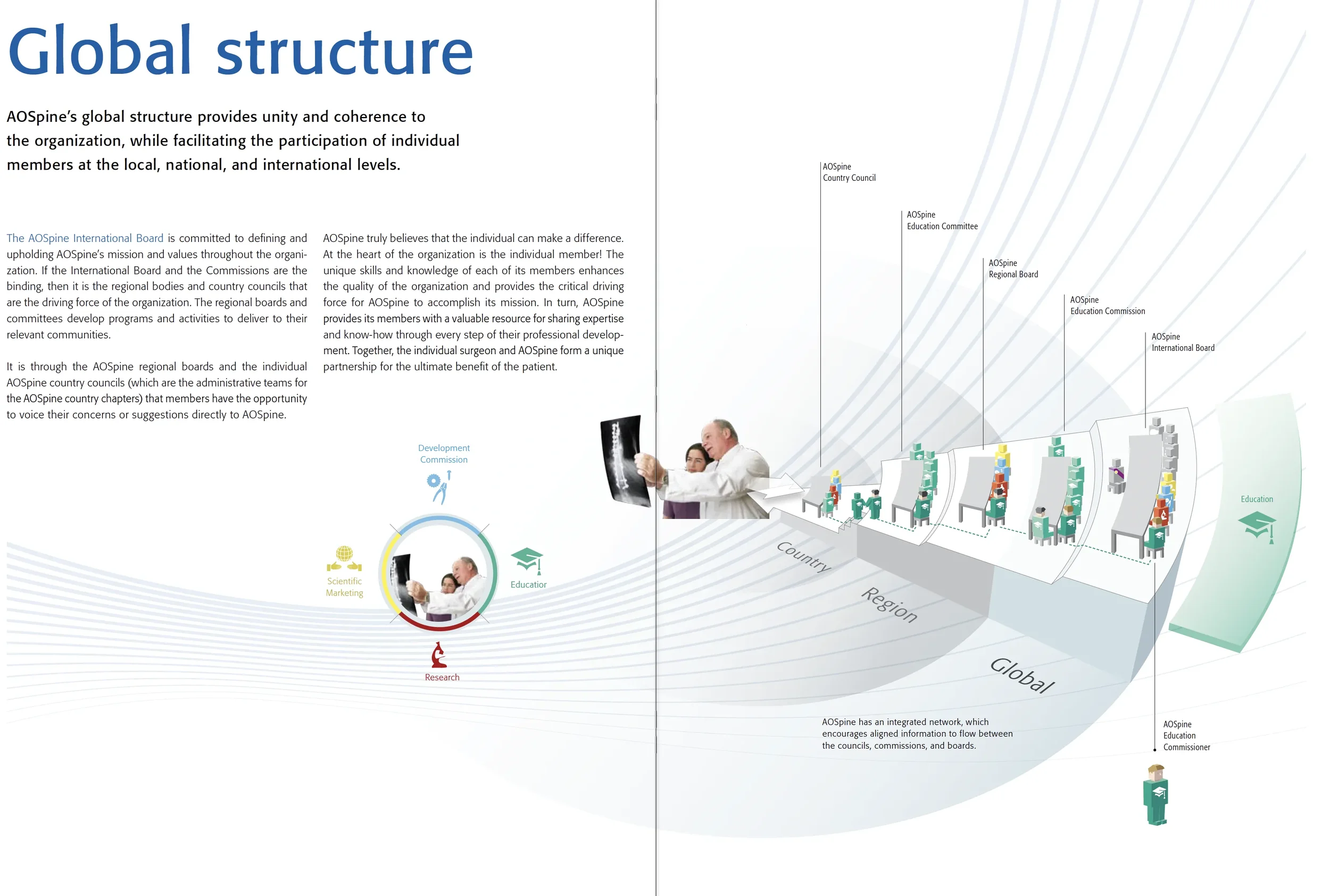 aospine global structure.webp