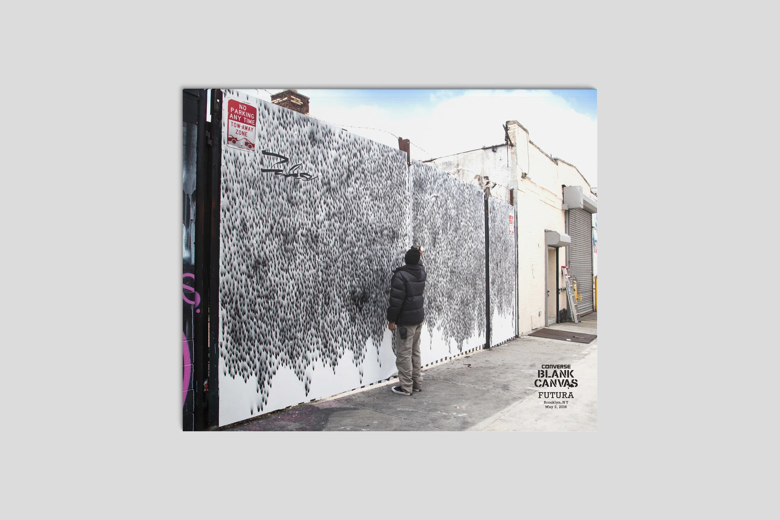 blank canvas converse