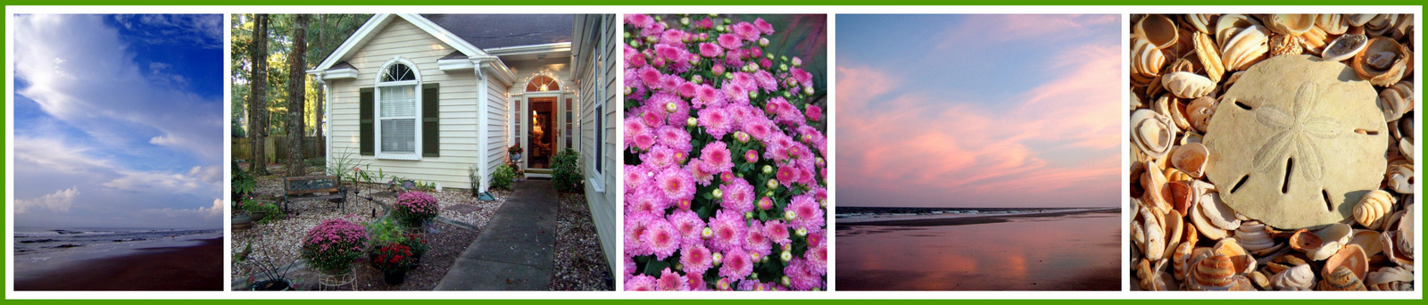 Scenes from SUZ! GLASS DESIGNS studio location and the beach - just 5 minutes away! Inspiration abounds!!!