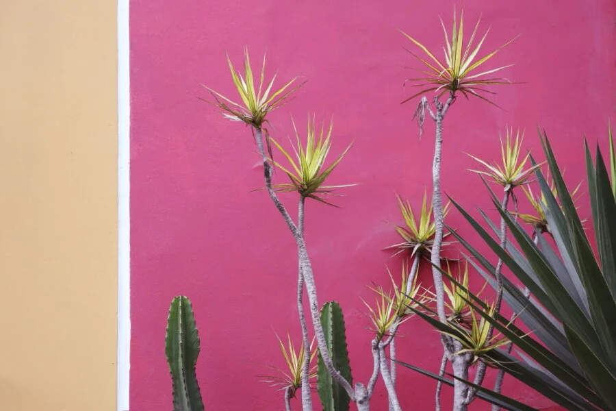 Mireya Acierto_077.JPG