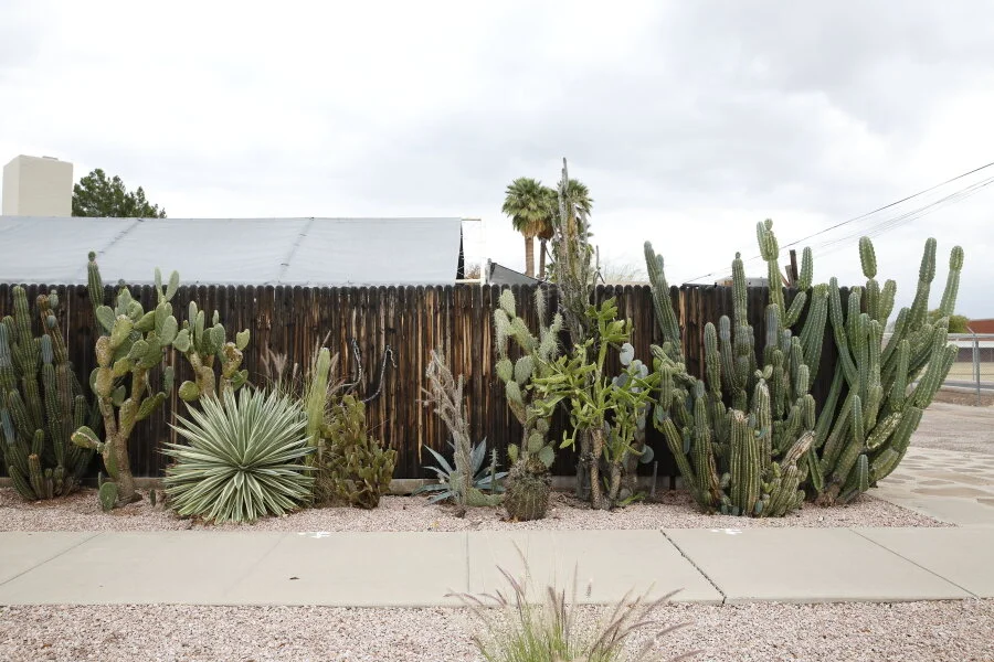 Mireya Acierto_073.JPG