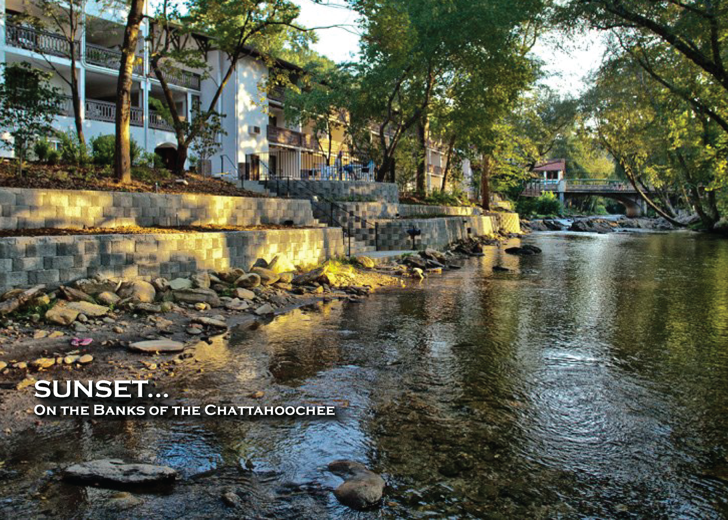 Riverbank 1 Large.png