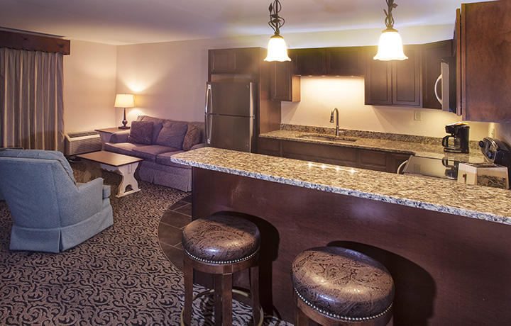 EM-Small_Suite-Kitchen-Living room.jpg