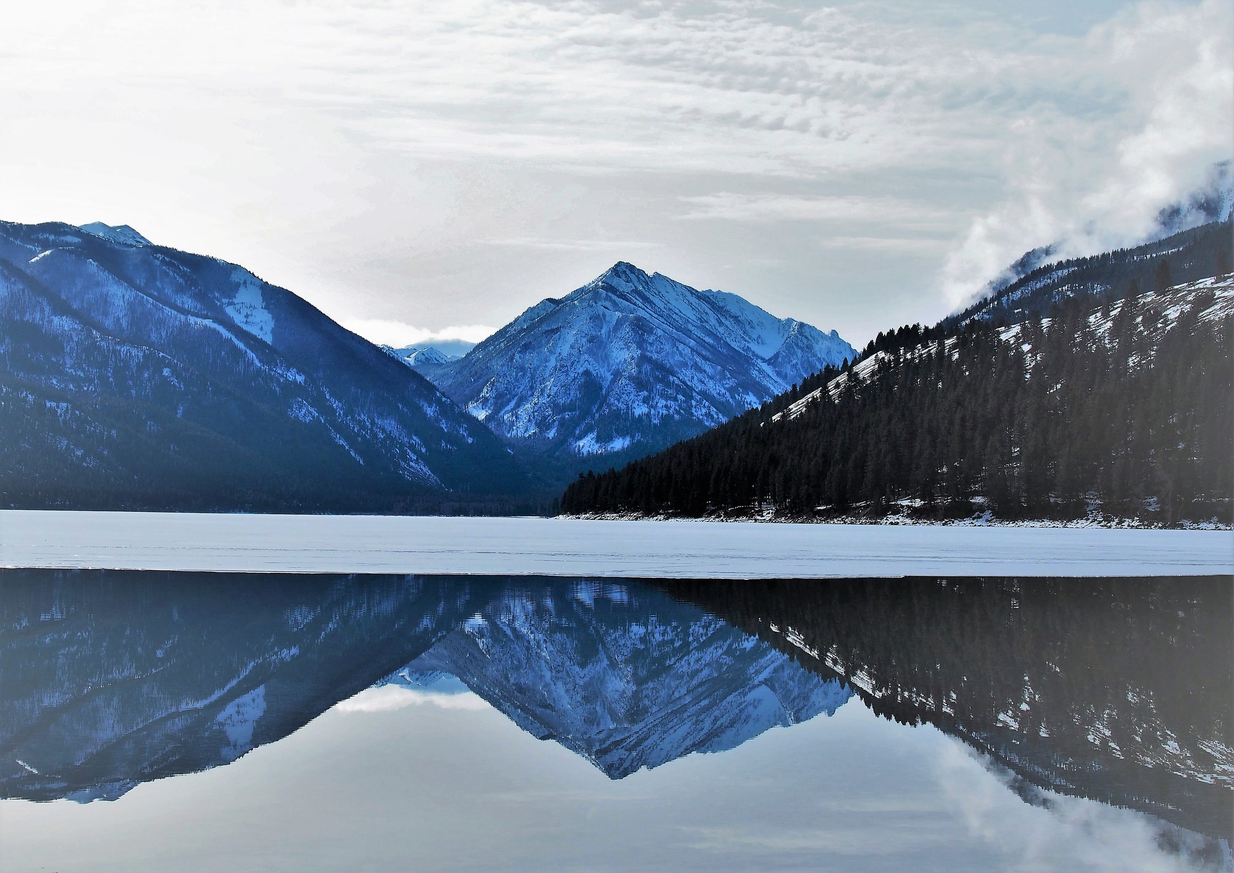 Image credit: Ashley Rood