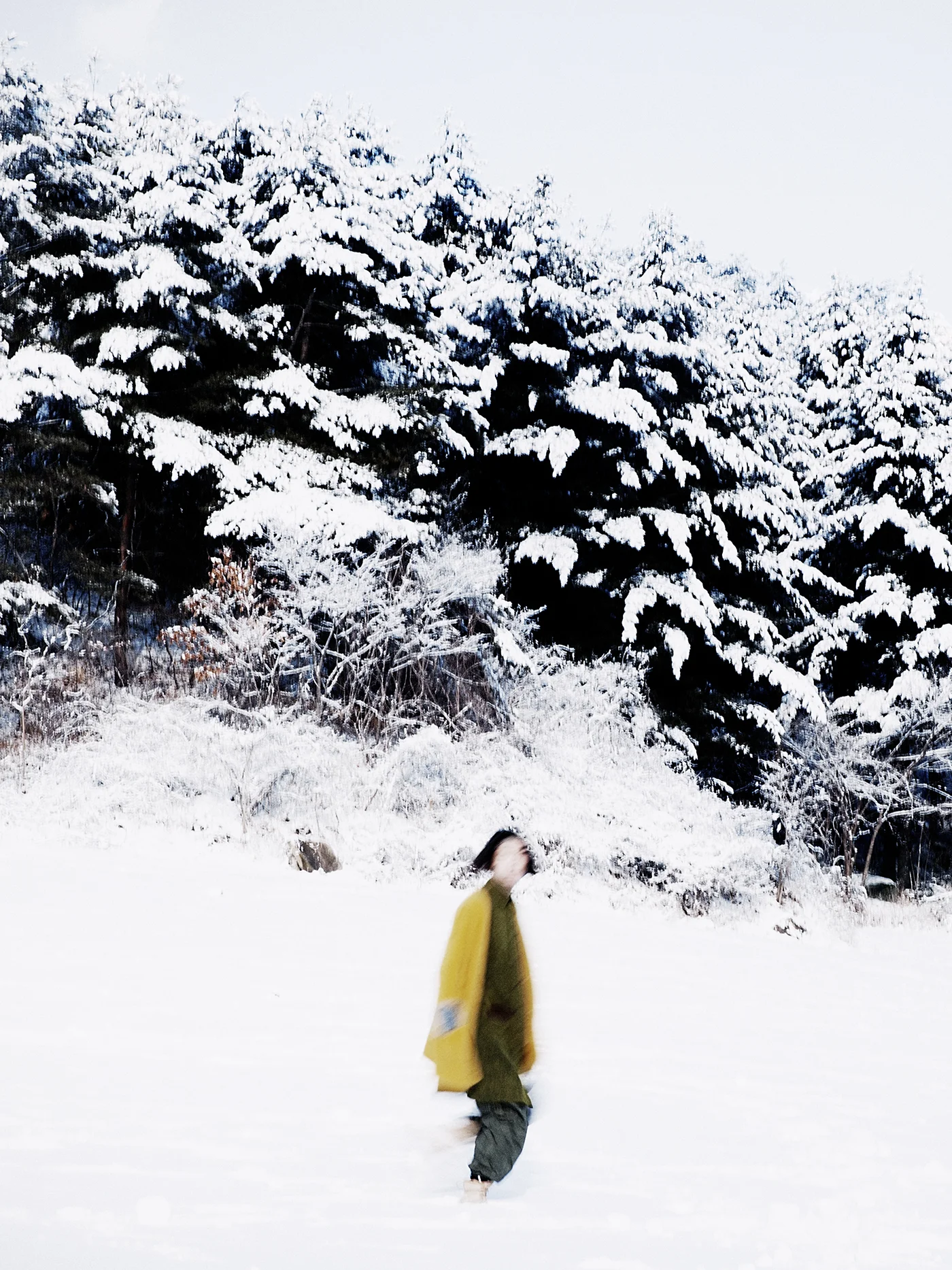_MG_6633_V1_WOL.jpg