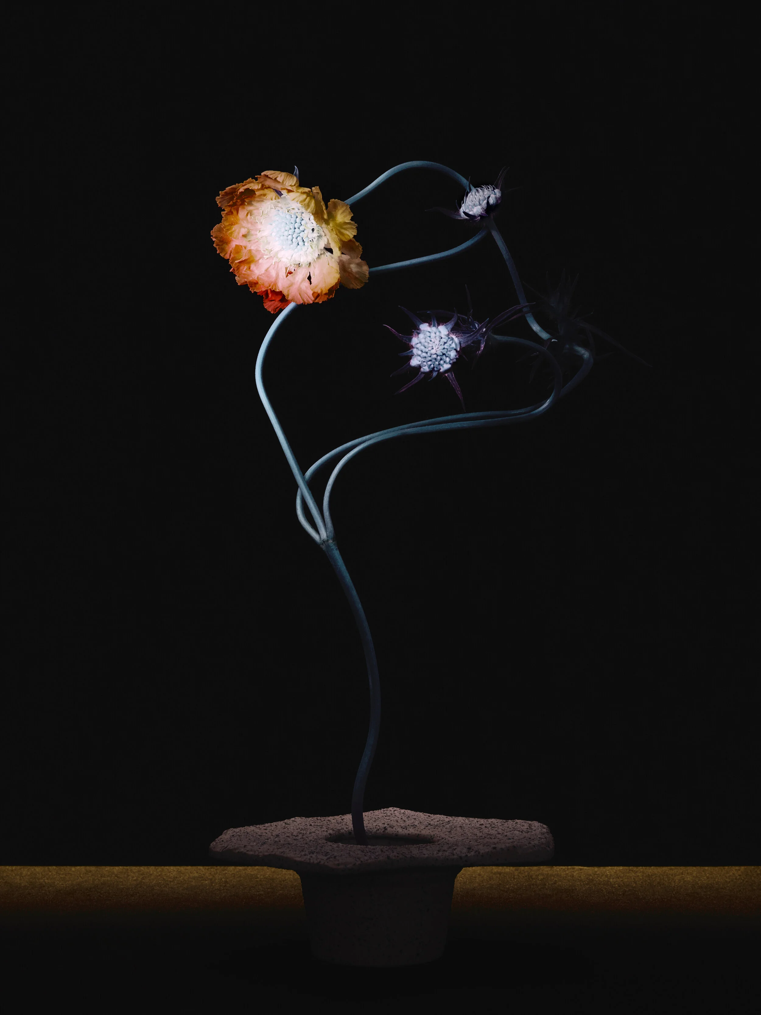 20210621_TAK_PERSONAL_FLOWER_45725 f.jpg