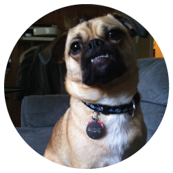 Rudie, 10 months. Look at that underbite! AH!