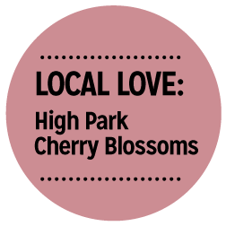 local_love_high_park.png