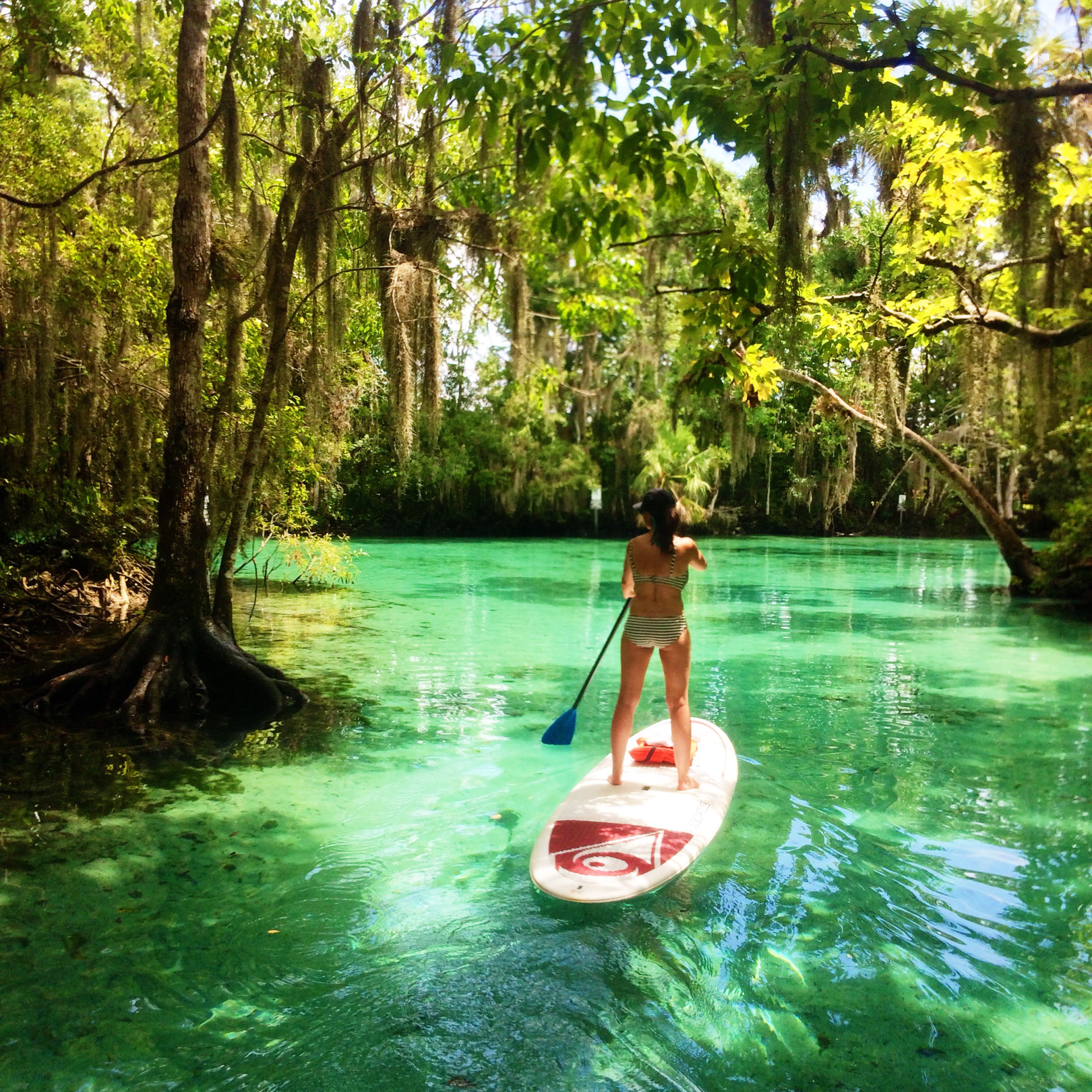 Crystal River Paddleboard And Kayak Als Crystal River Paddleboard And Kayak Als