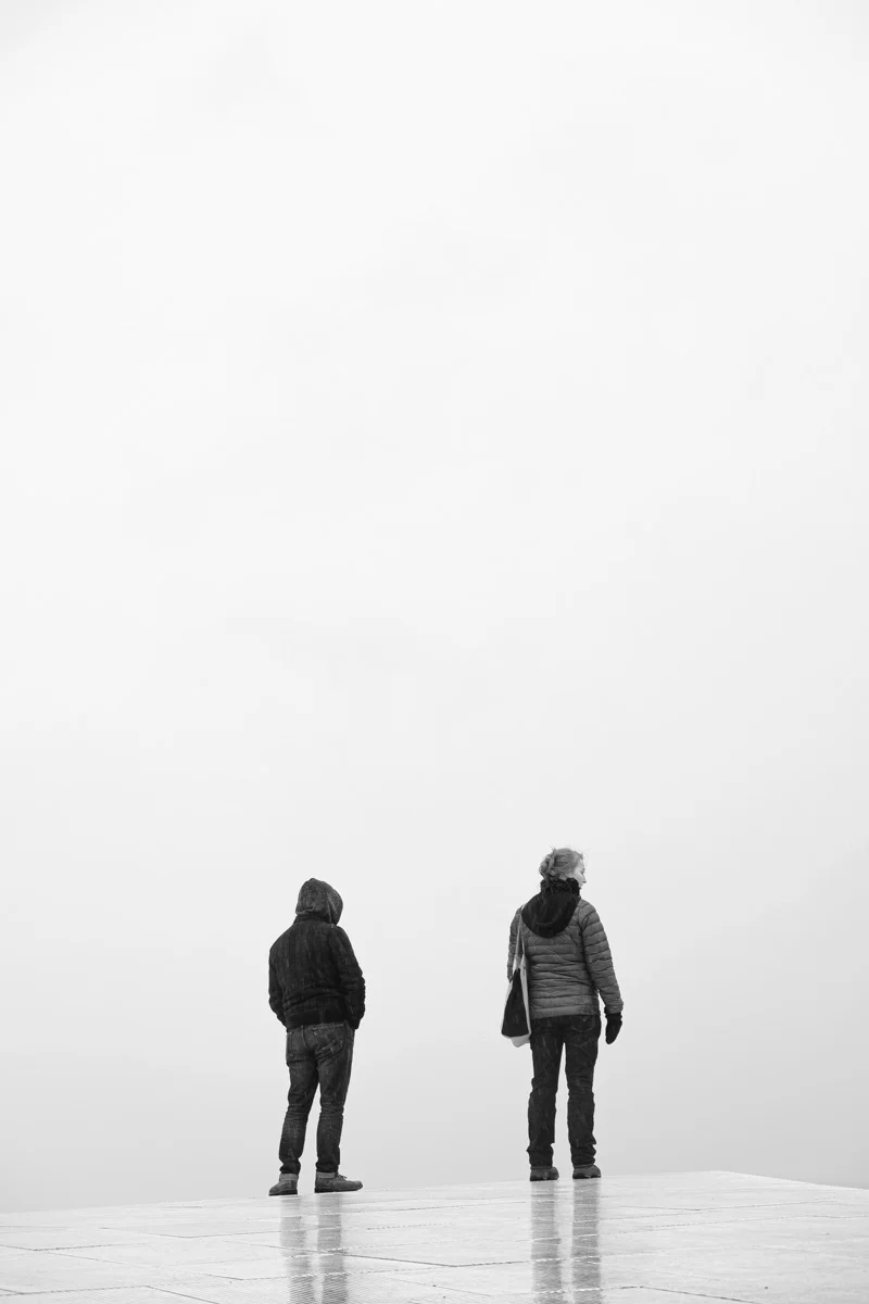 Roof, Oslo Opera House