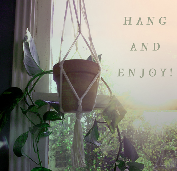 10how+to+plant-hanger.jpg