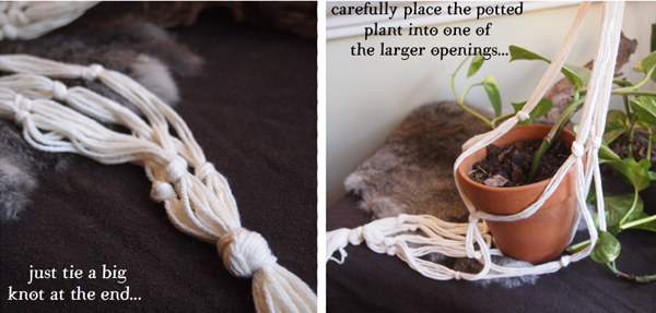 9how+to+plant-hanger.jpg