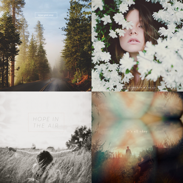 kelly+ann+mixes.png