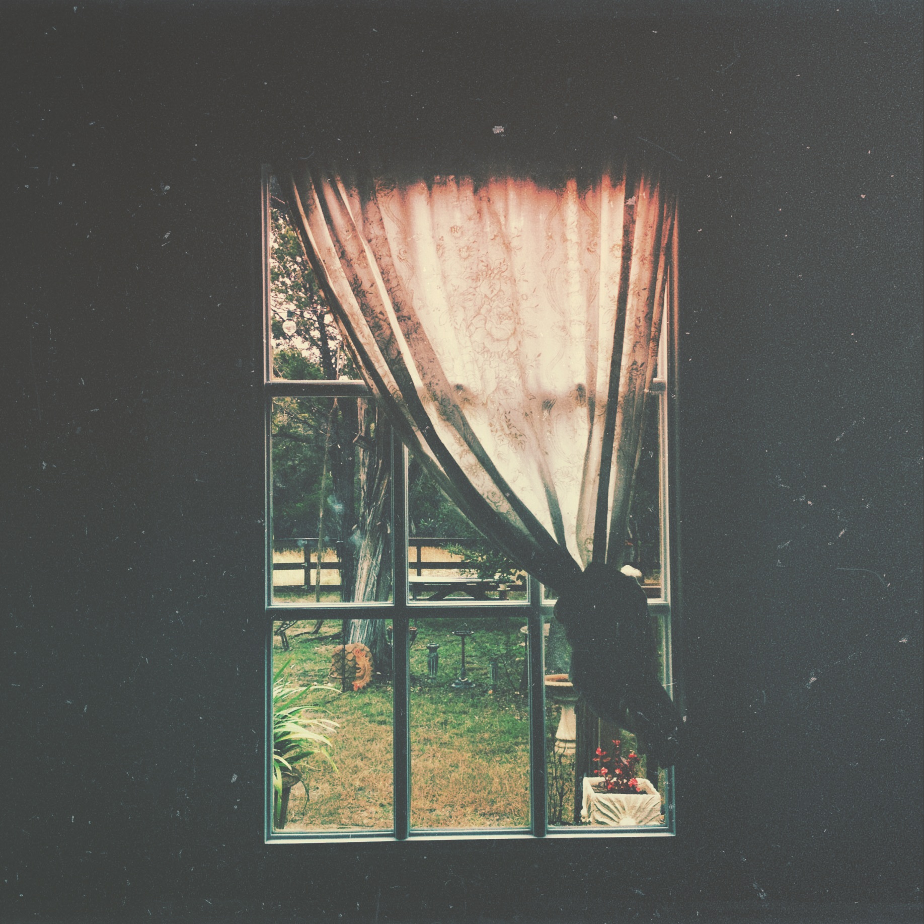 Photo by Laura Mazurek