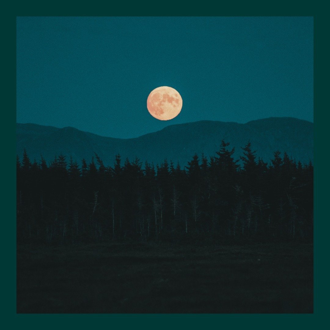 🌕 𝗦𝘄𝗶𝗽𝗲 🌕 This month's full moon rune is Ehwaz (ᛖ) which embodies the energy of duality and partnership - perfect for this Full Moon in Libra. ⁣
⁣
Full moons are a powerful time for releasing anything that no longer serves your best and highes