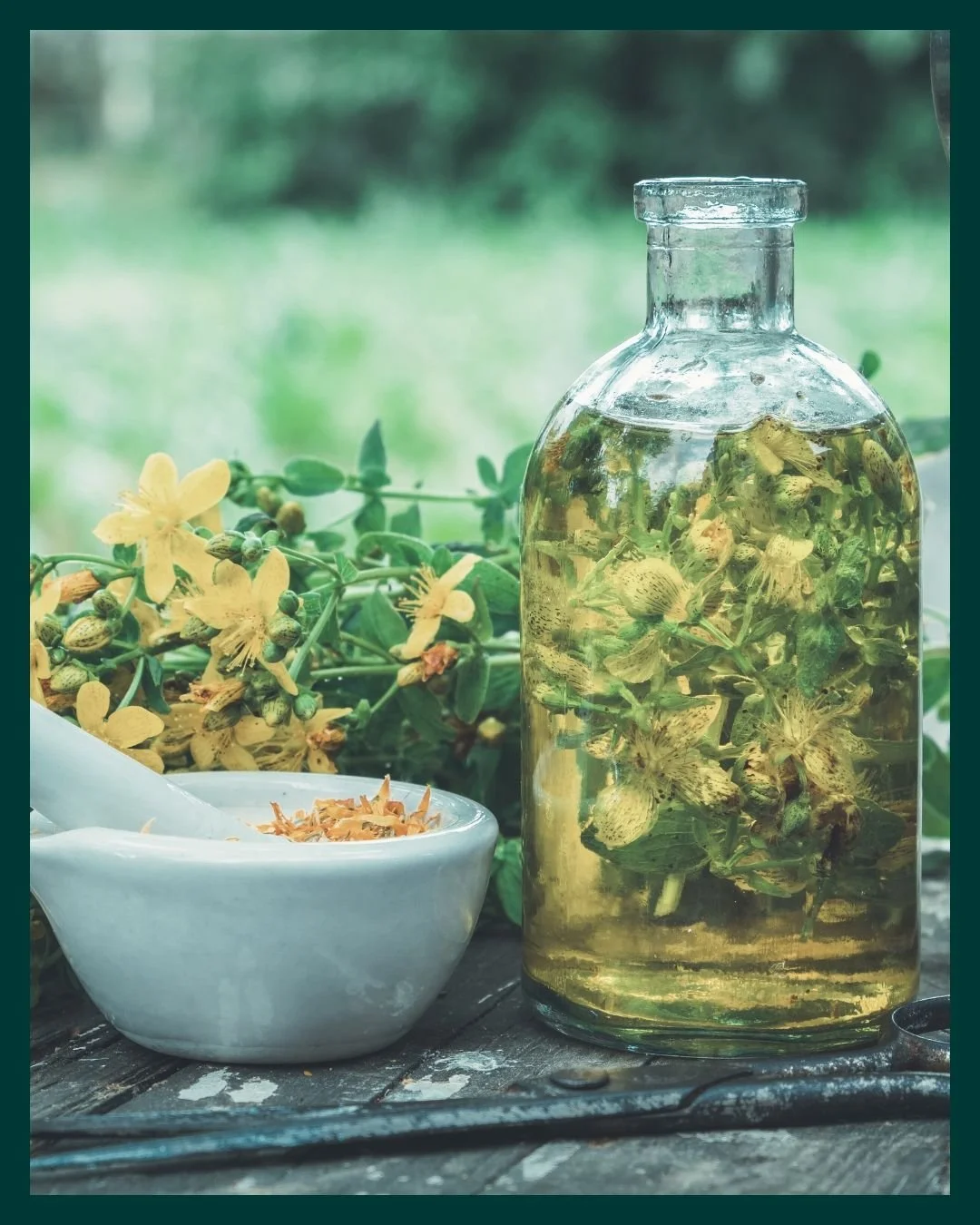 Learning solar infusion was a game changer for me, as far as apothecary work goes. I was able to make my own hair/body oil, massage oil, and healing herbal salves by blending plant-infused oils with beeswax. 

To this day, my herbal salves are one of