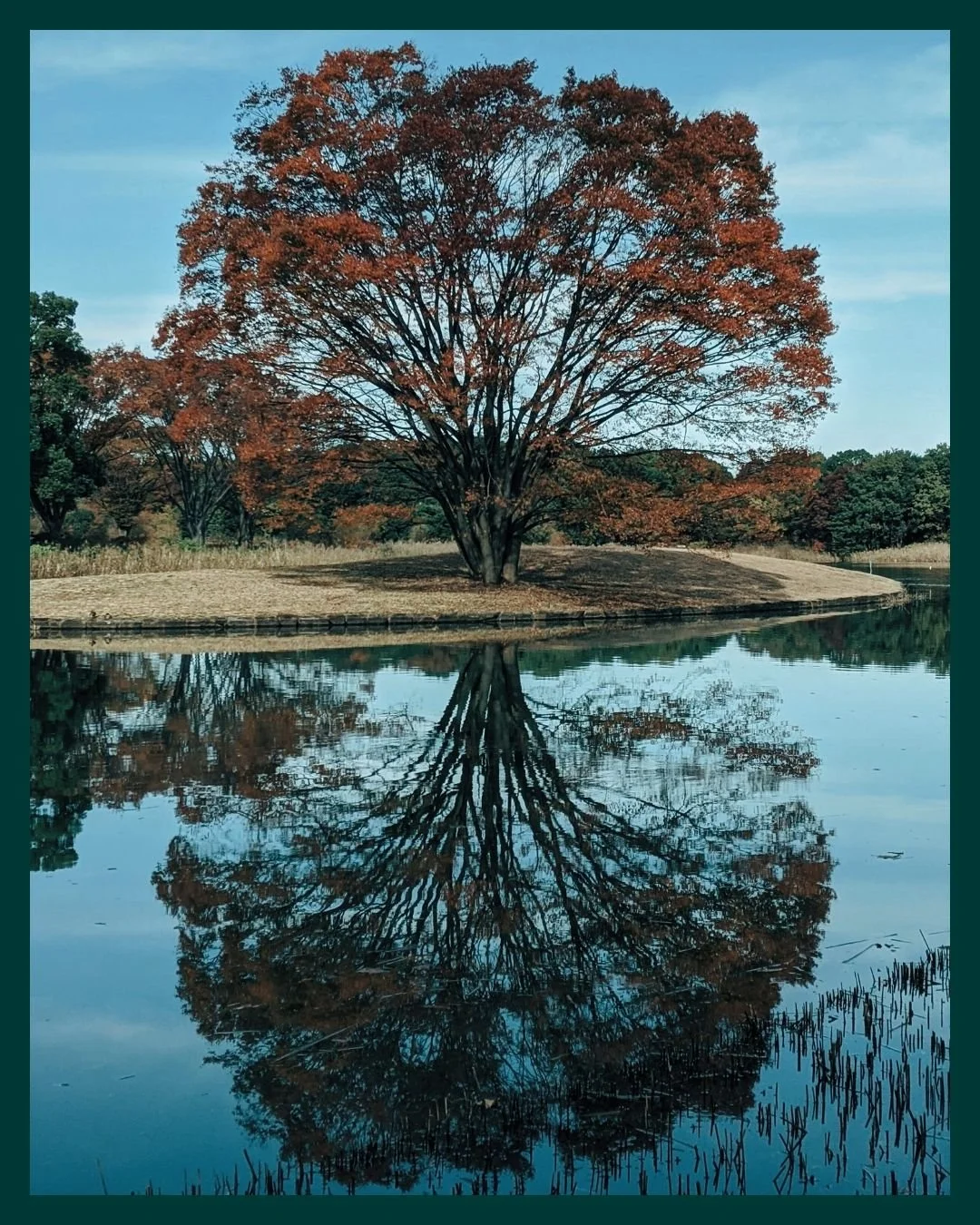 Joyous Equinox, Mabon and Libra Season 🍁 Today is one of just two days a year where night and day are the same length of time, a moment of balance before we descend into winter (Northern Hemisphere) or rise up into summer (Southern Hemisphere). Autu