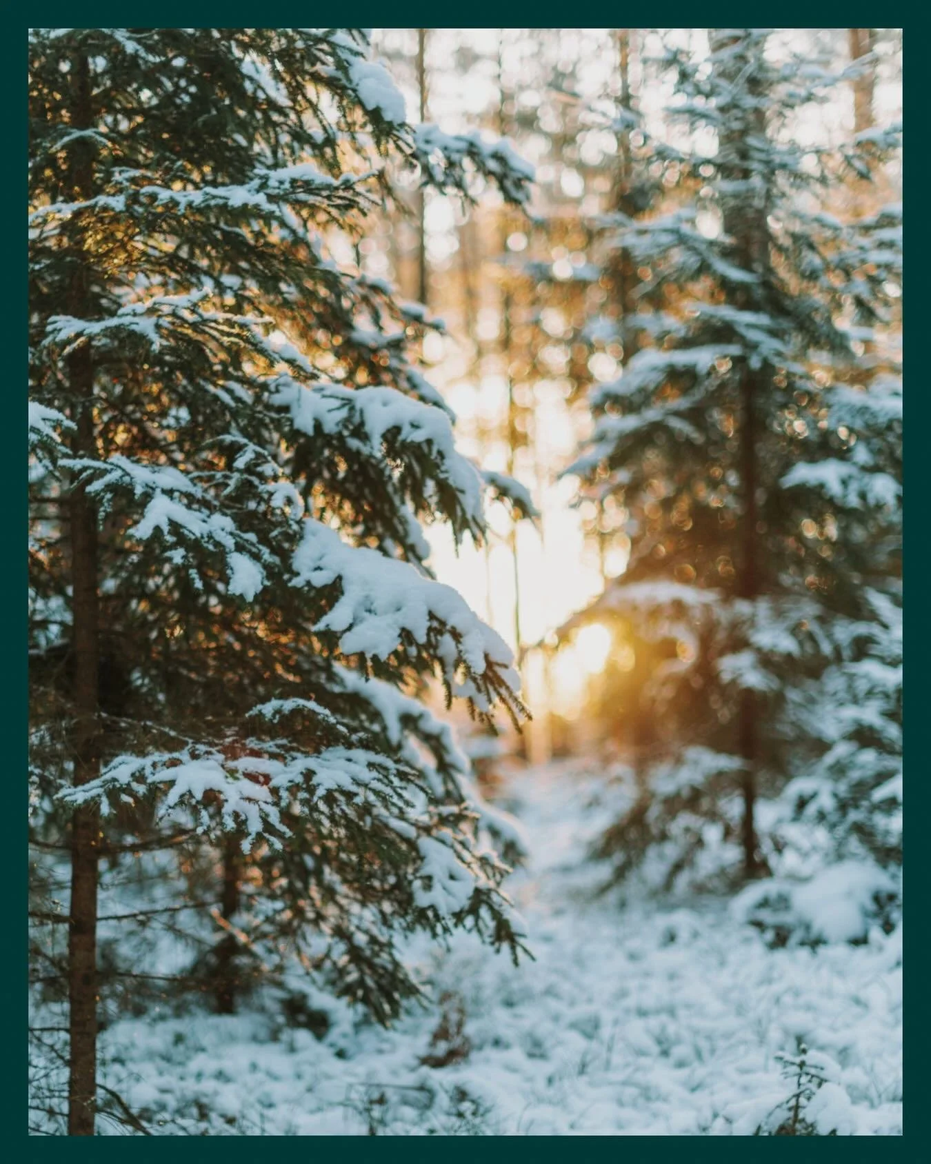 Blessed Solstice to you and yours 🌞⁣
⁣
Tonight is the longest night of the year in the Northern Hemisphere, a sacred pause amidst the busyness of modernity, a reminder that the light always returns. ⁣
⁣
To my friends in the Southern Hemisphere, wish