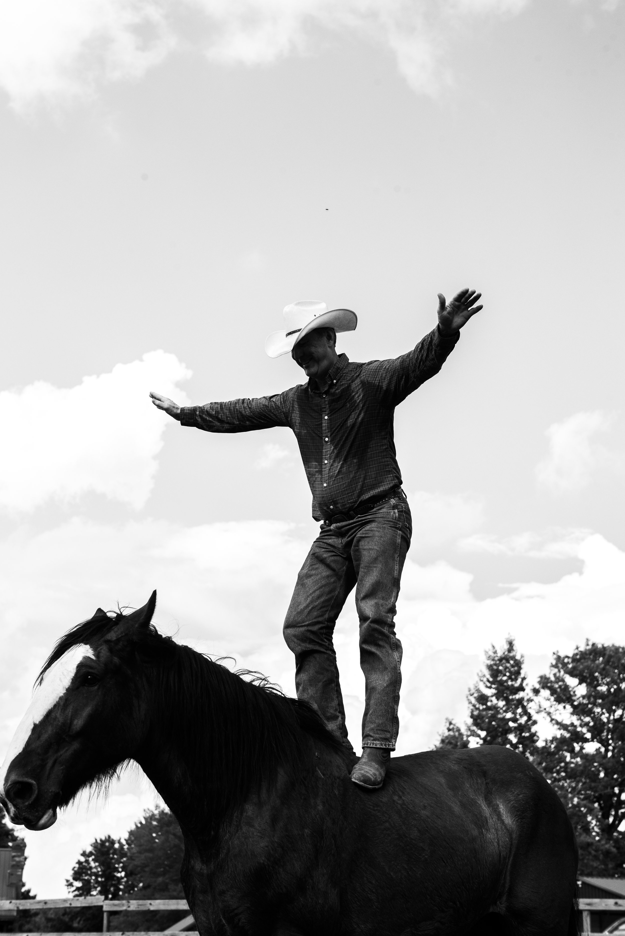 Cowboy - Oxford, Mississippi