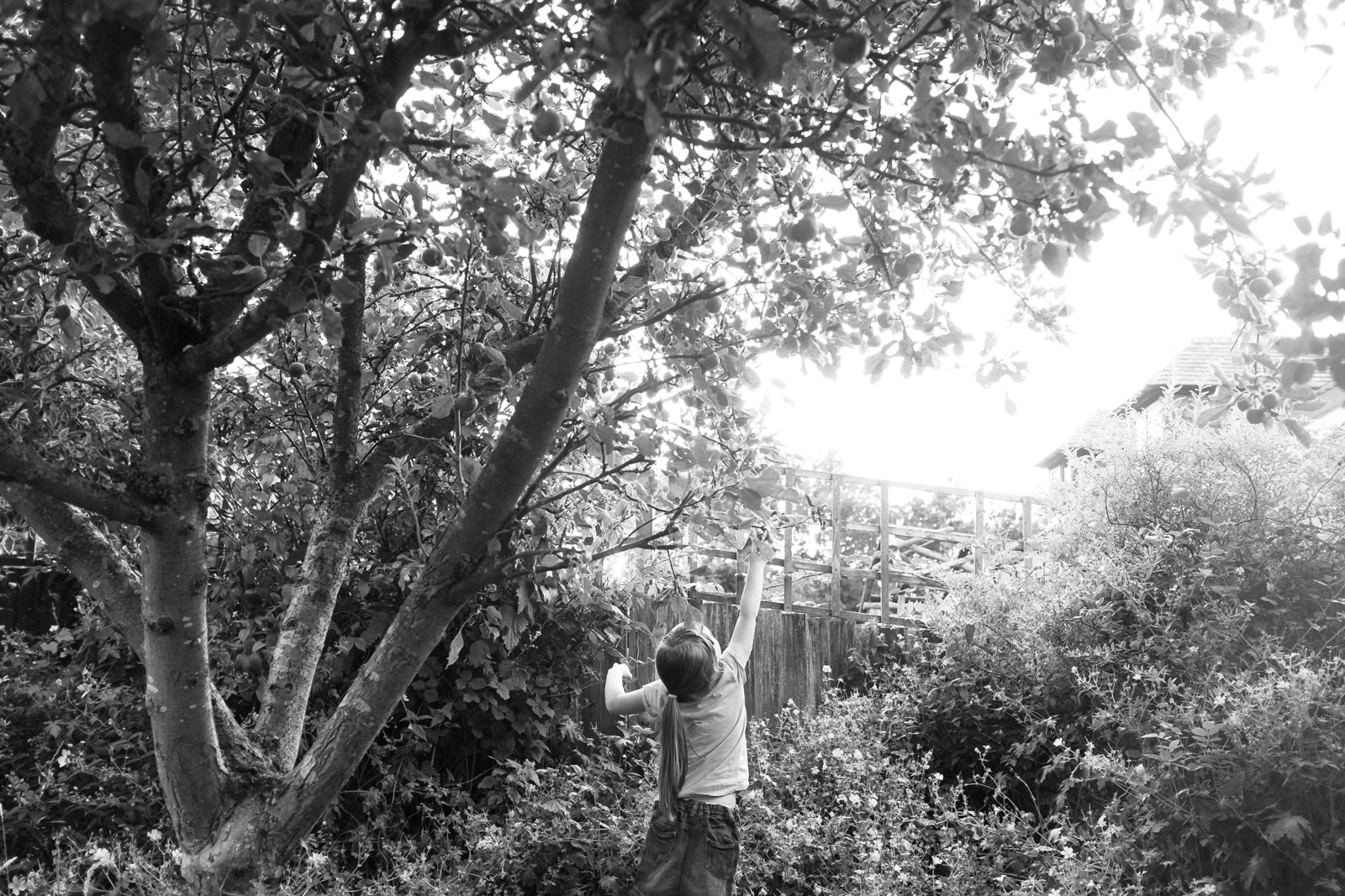 apple-picking-in-the-garden-03.jpg