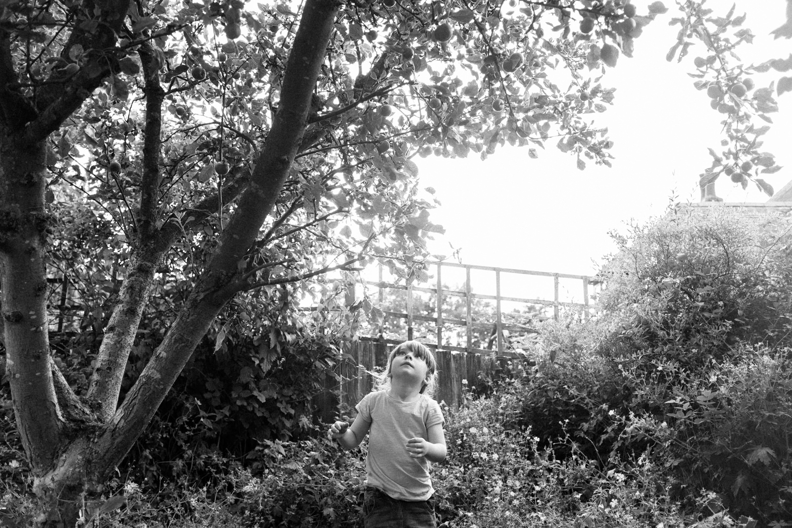 apple-picking-in-the-garden-09.jpg