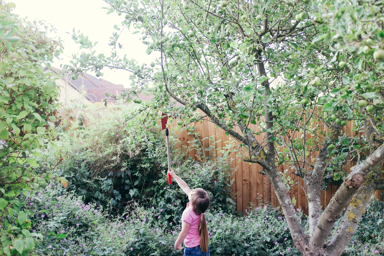 apple-picking-in-the-garden-12.jpg