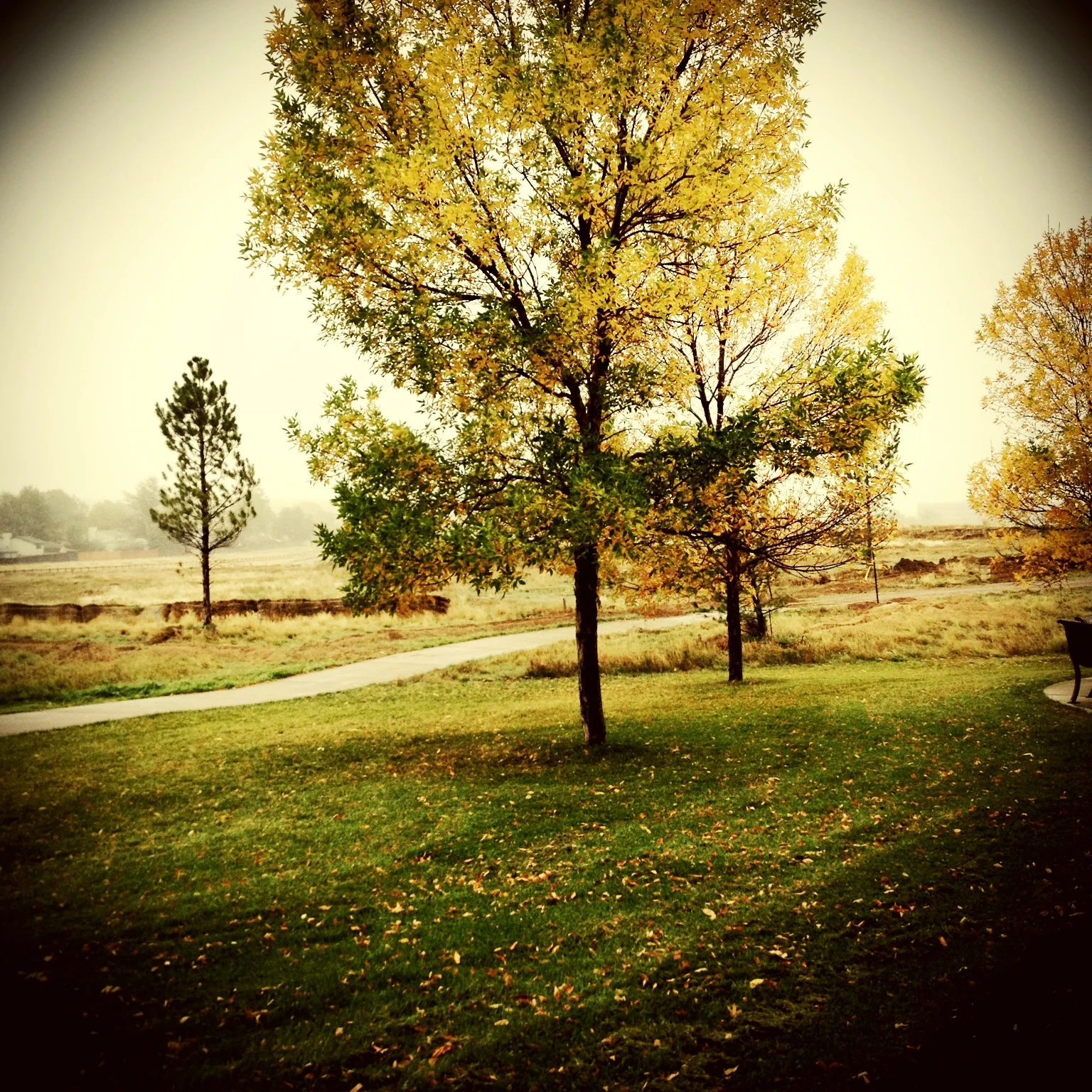 Fall @westviewreccenter - Westminster
