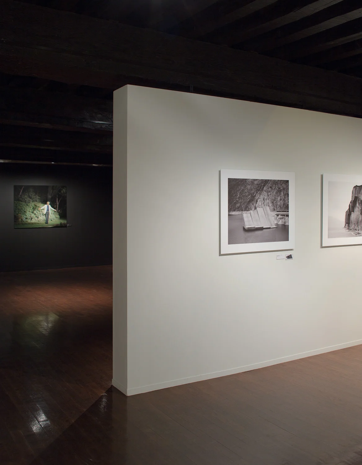 Exhibition view of various series