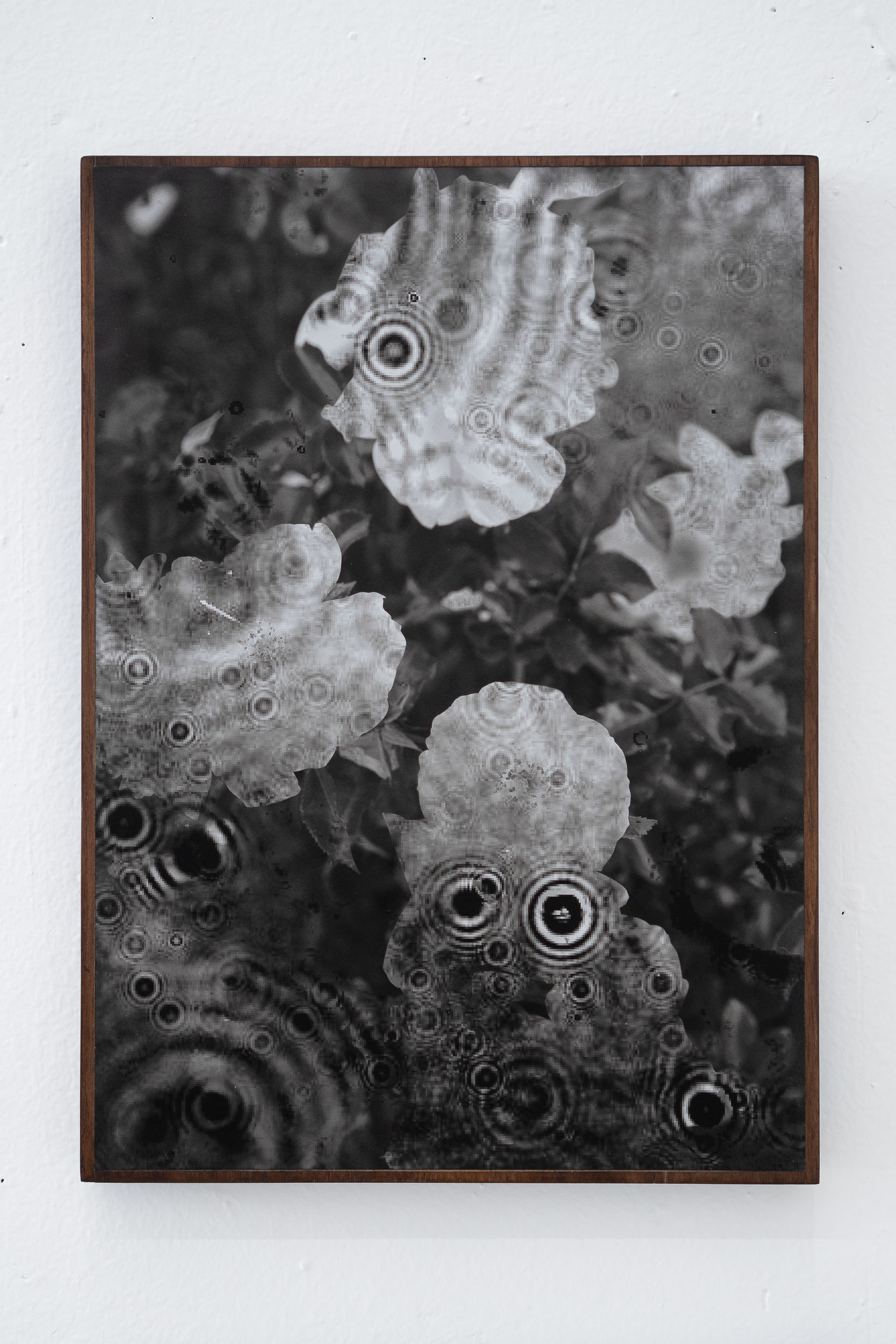 Exhibition views from "La flèche du temps" (The arrow of time), at Galerie Heinzer Reszler, 2018