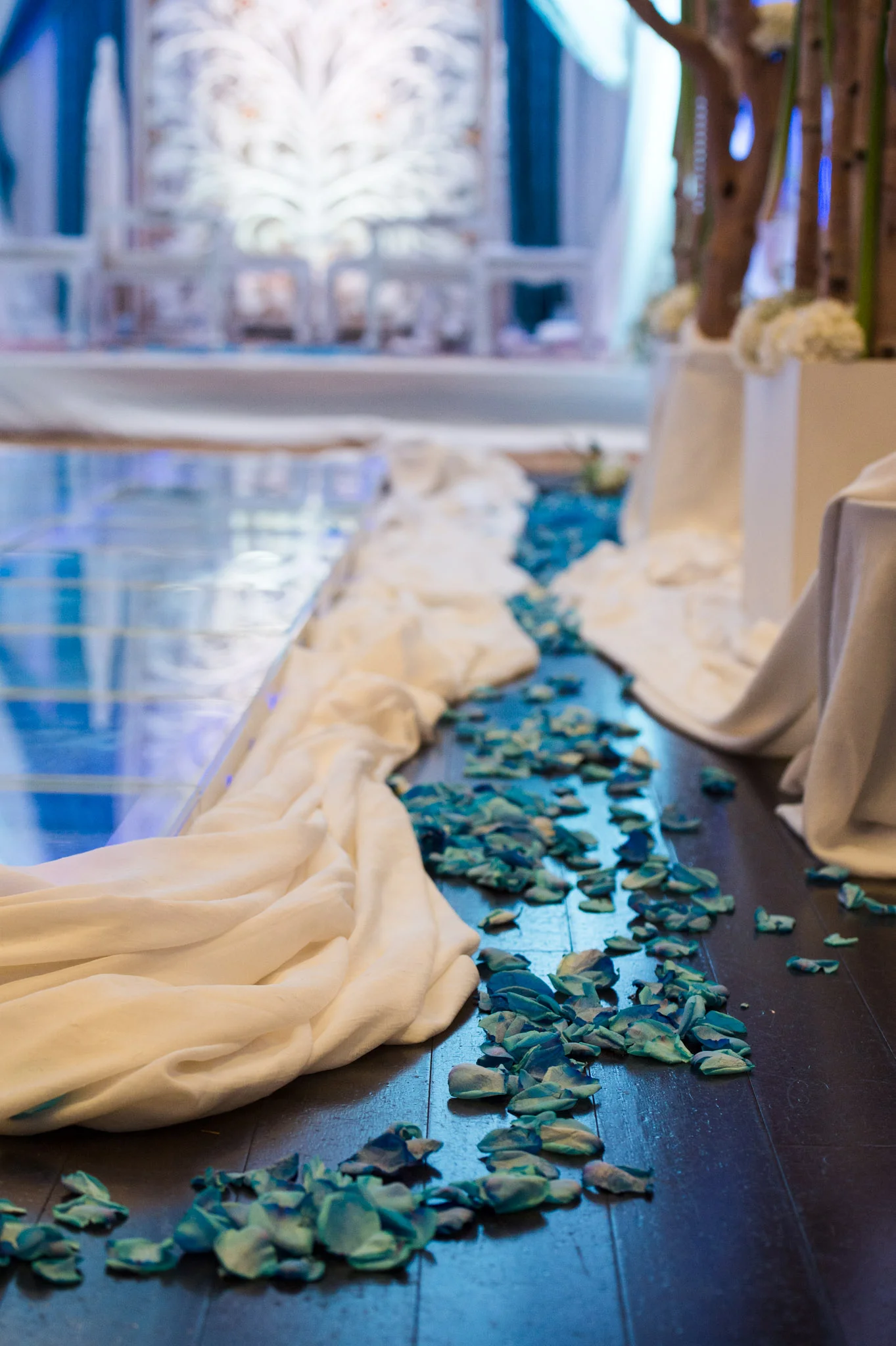 Risha_Kapil_wedding06.jpg