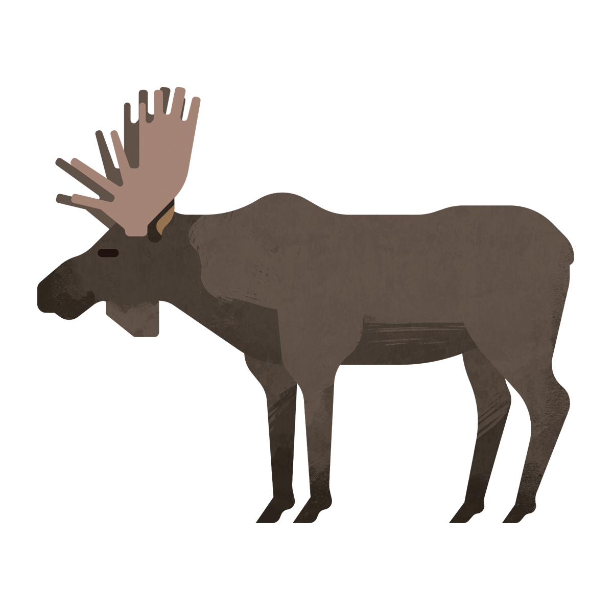 capebreton_poster_animals_moose.png