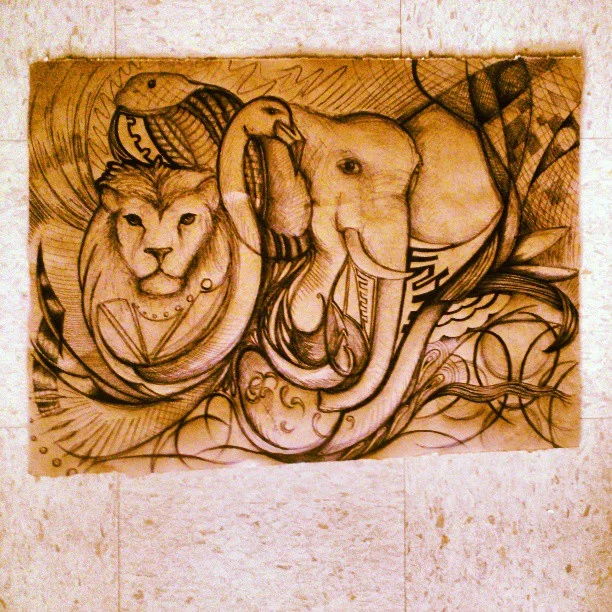 Animal Kingdom