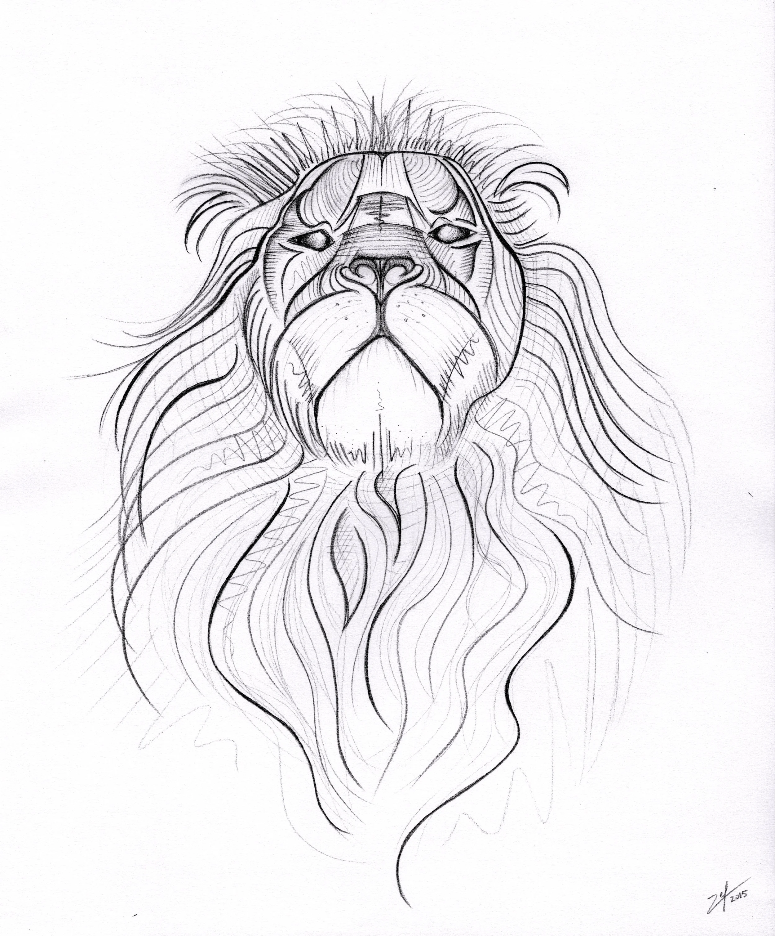 Lion 2