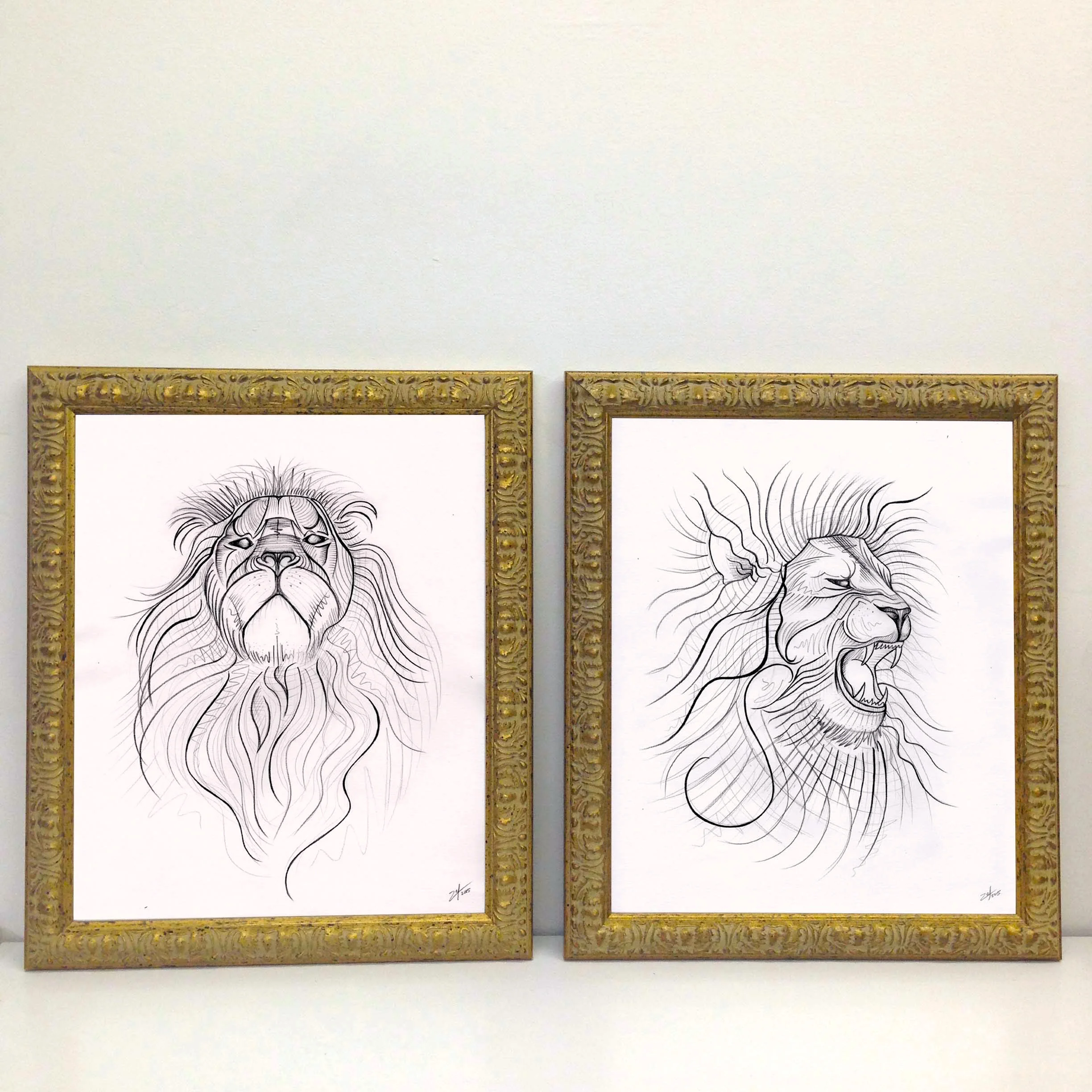 Lion 2 + 3