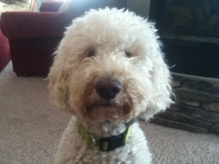 Murphy is Mr. Wonderful.