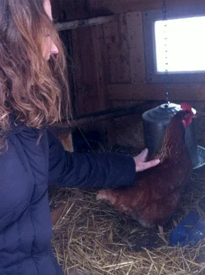 We take care of feathered friends, too!