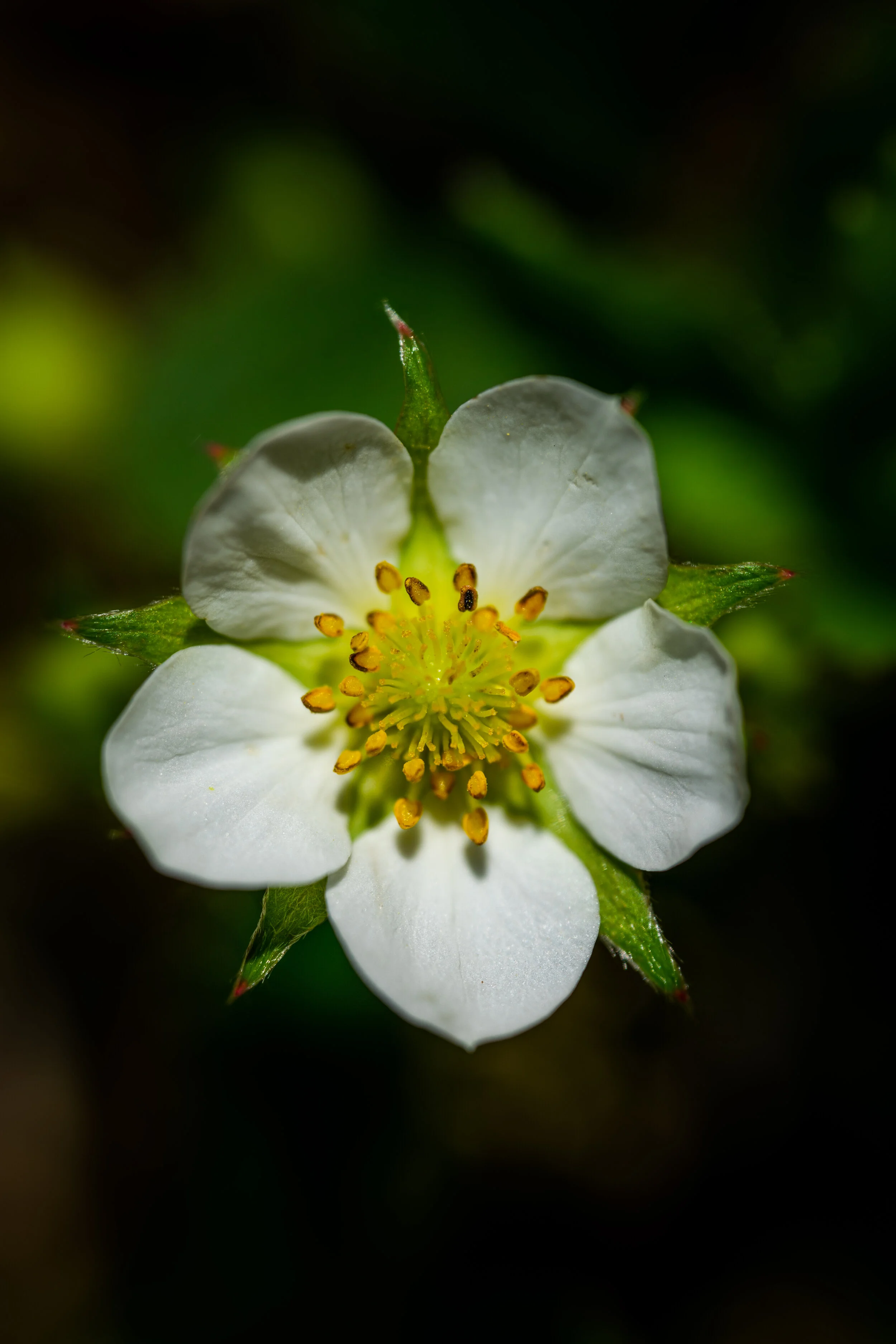 DSC_0410-2.jpg