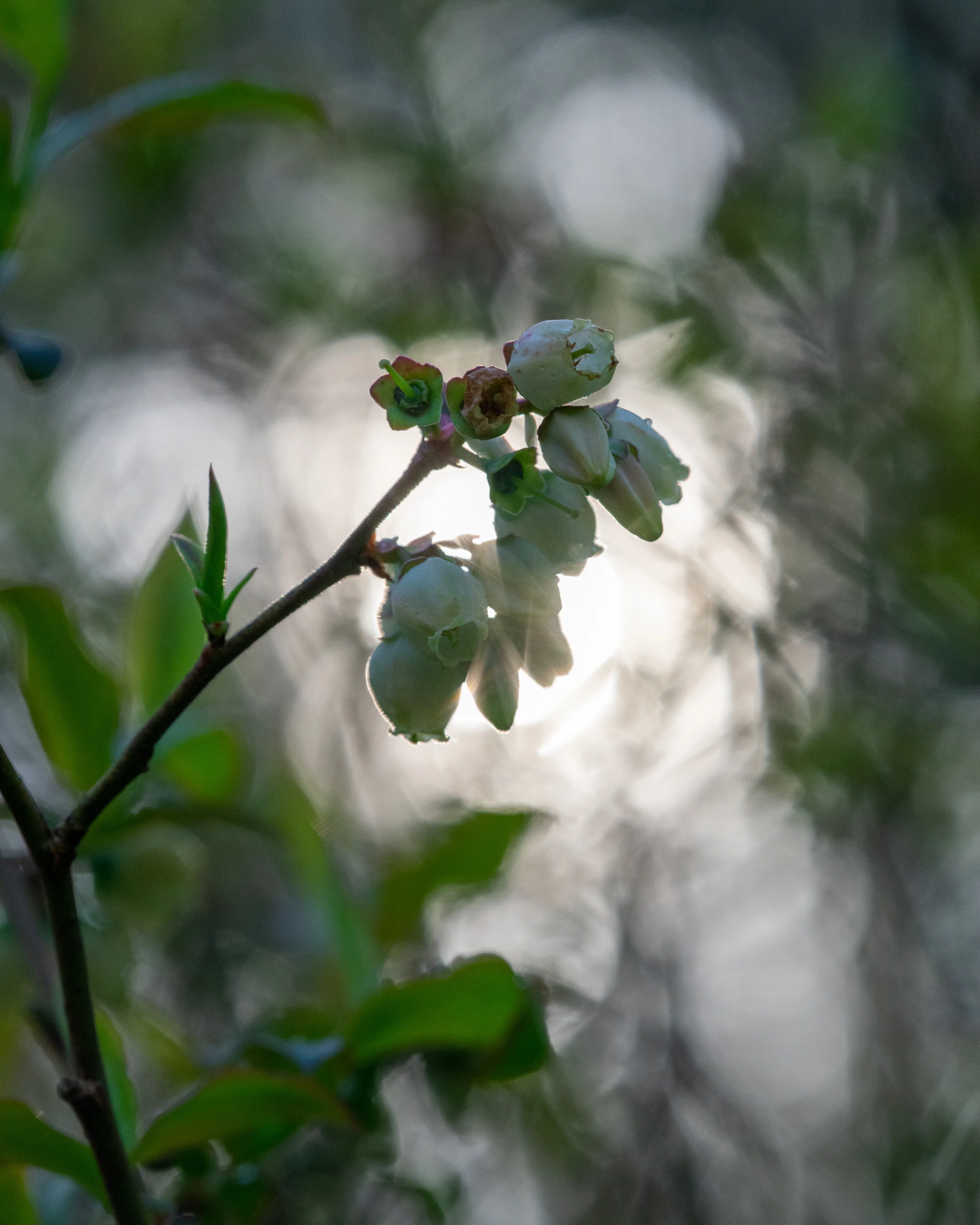 DSC_0514.jpg