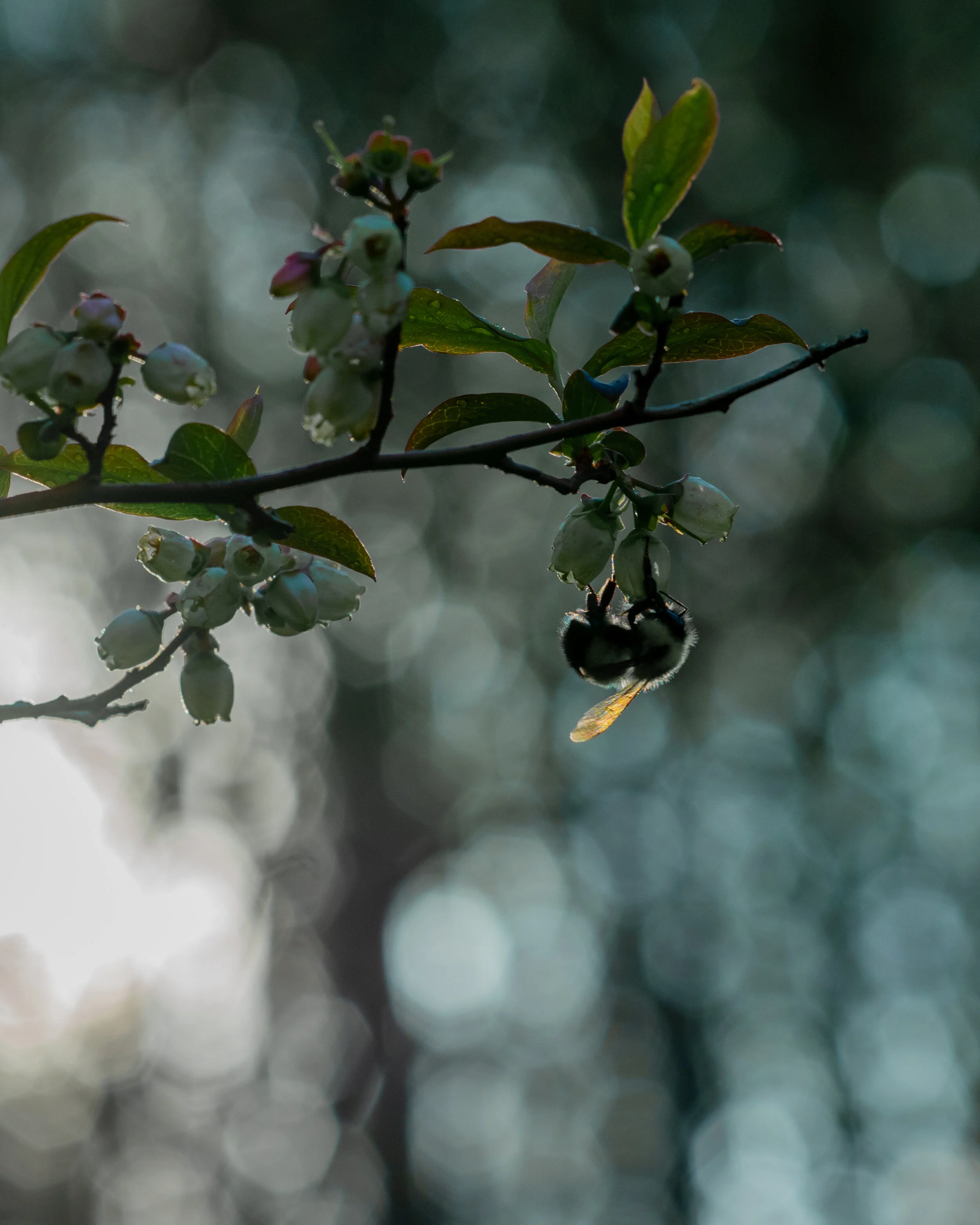DSC_0566-Edit.jpg