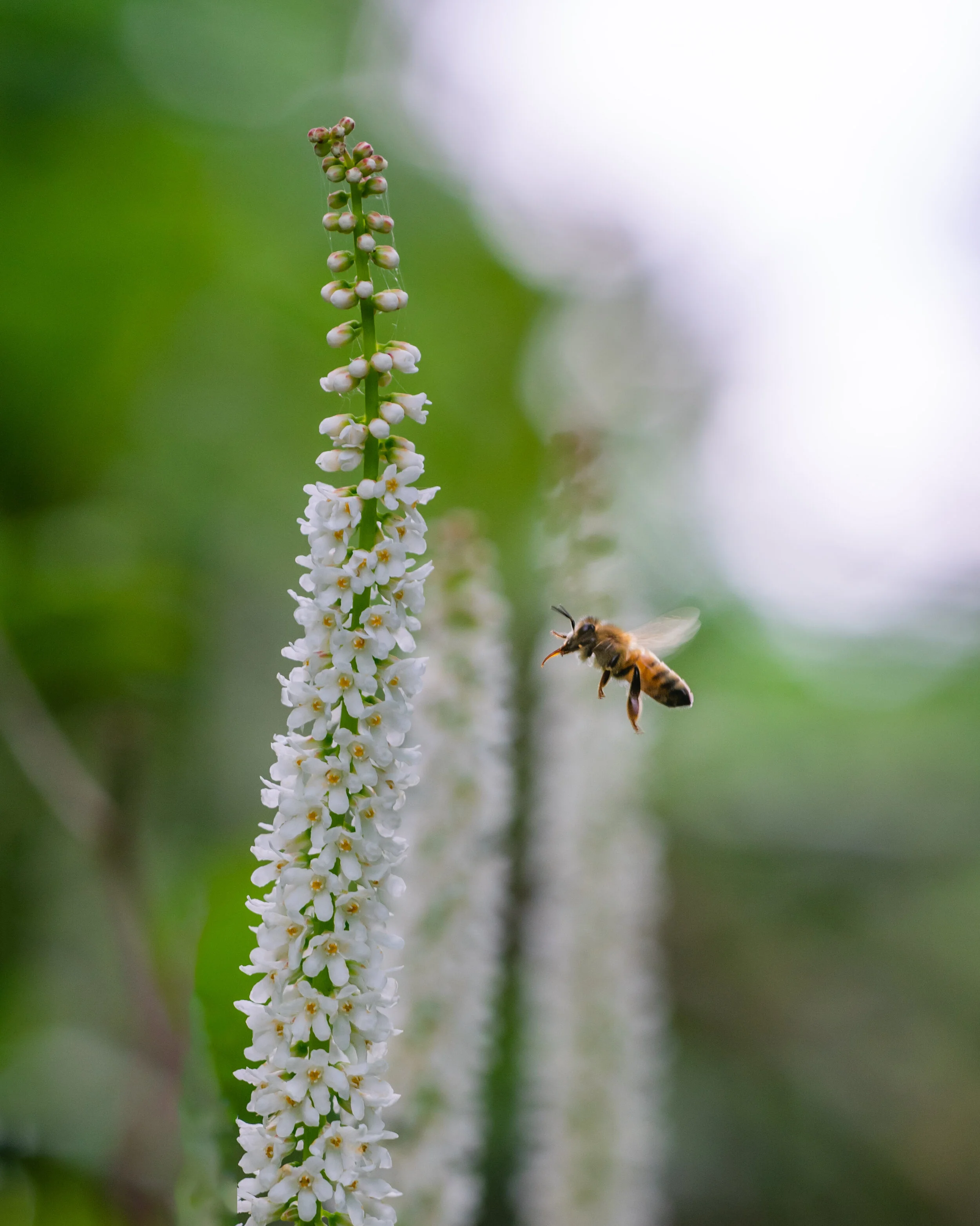 DSC_0032-Edit.jpg