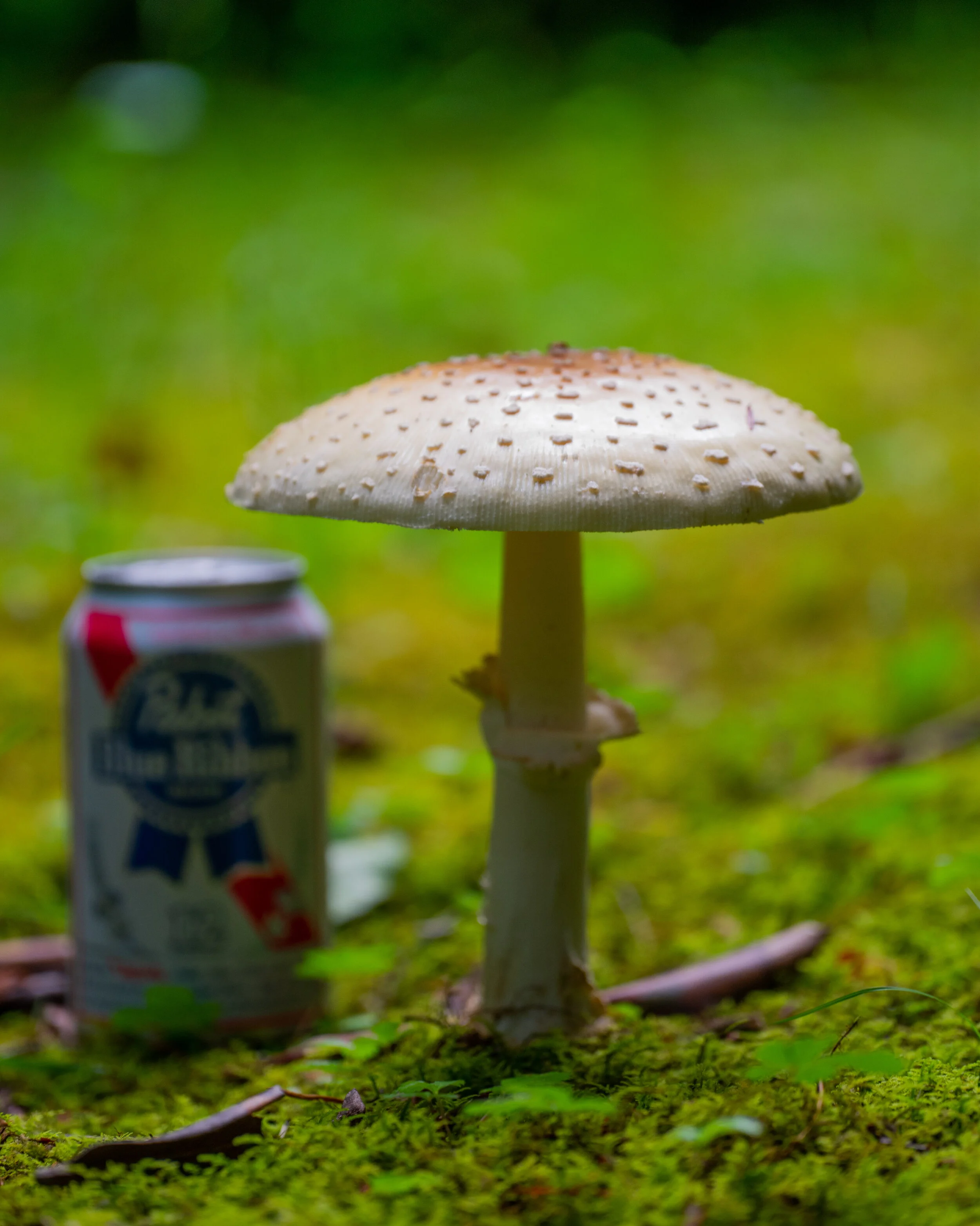 DSC_0130-4.jpg