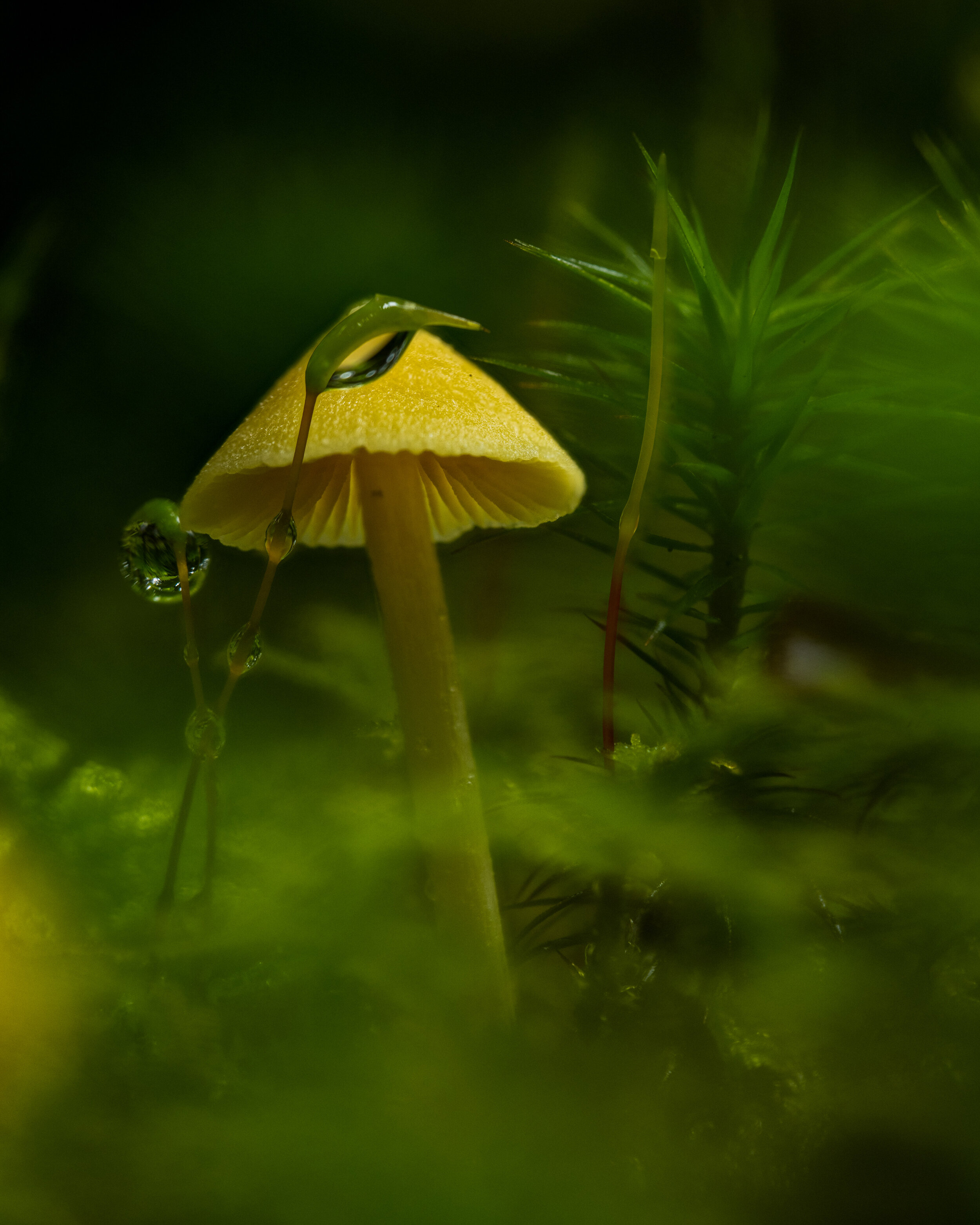 2020-08-24-13.43.56 ZS retouched.jpg