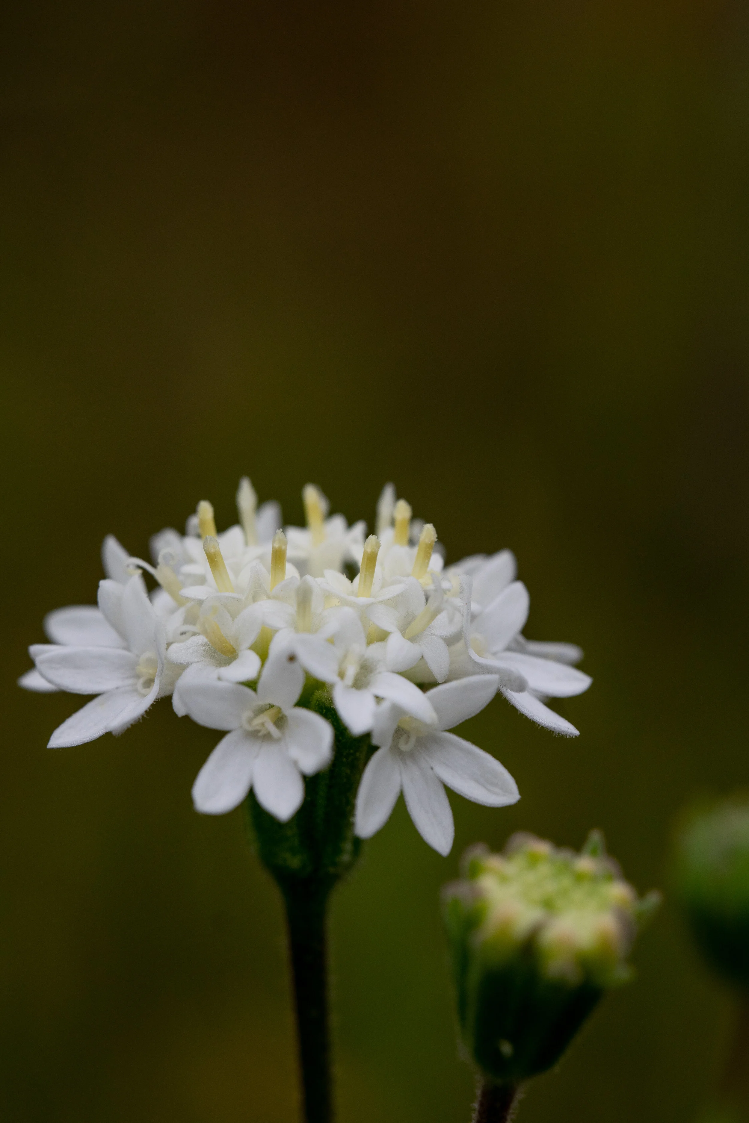 DSC_0146-2.jpg
