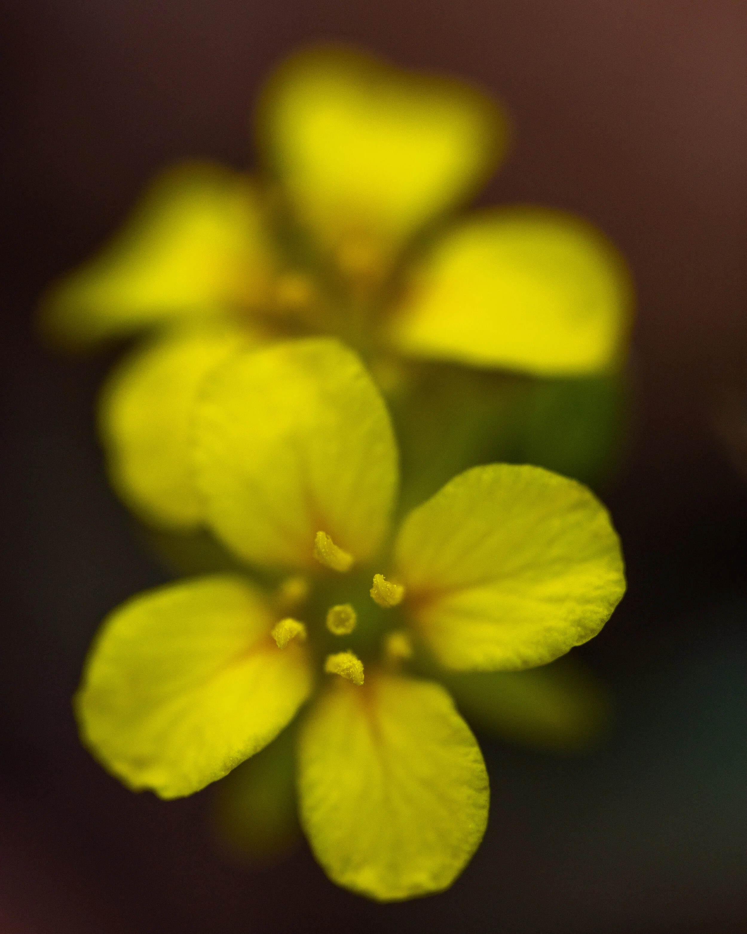 DSC_0815-2.jpg