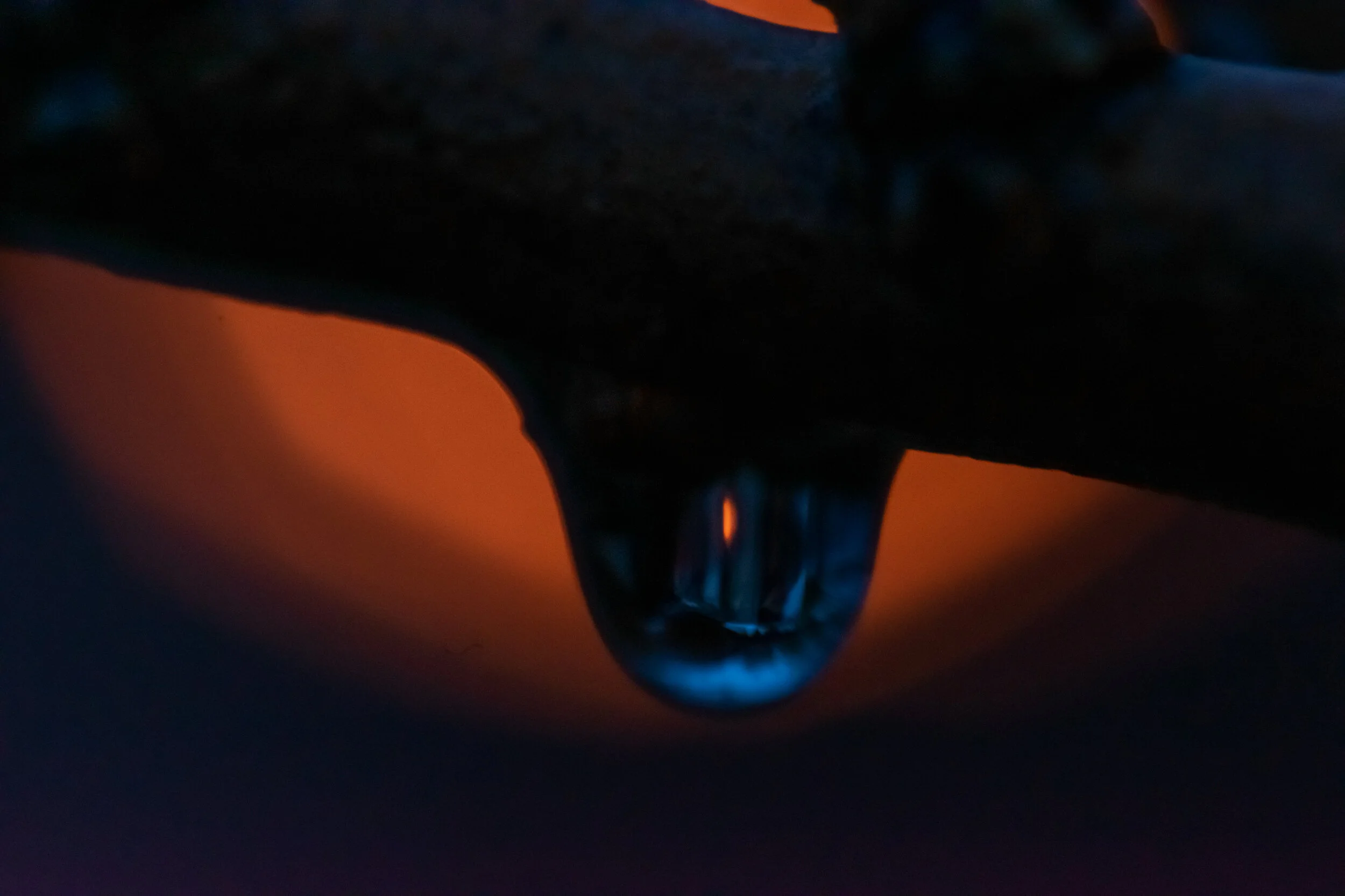 DSC_0729.jpg