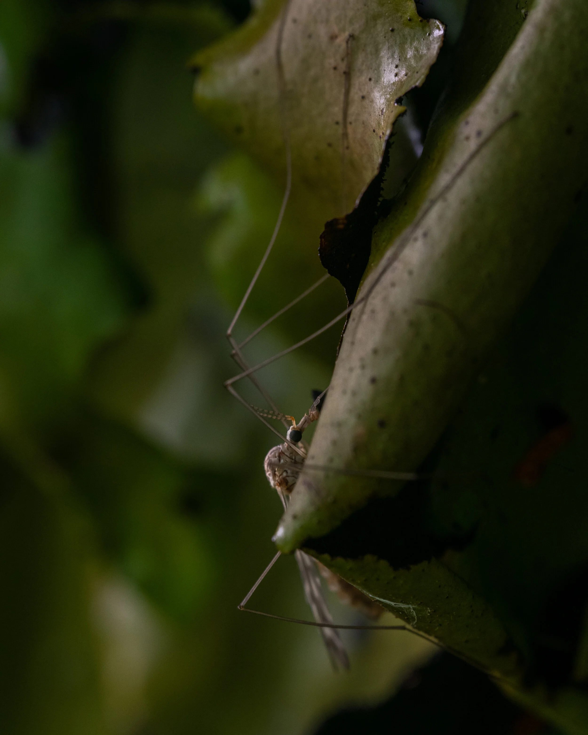 DSC_0141-2.jpg