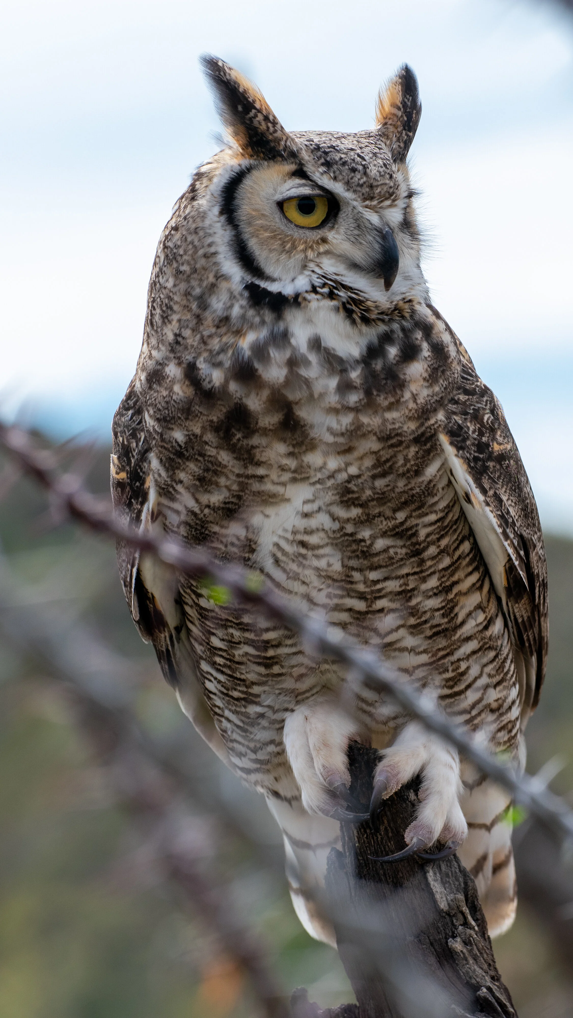 DSC_0283.jpg