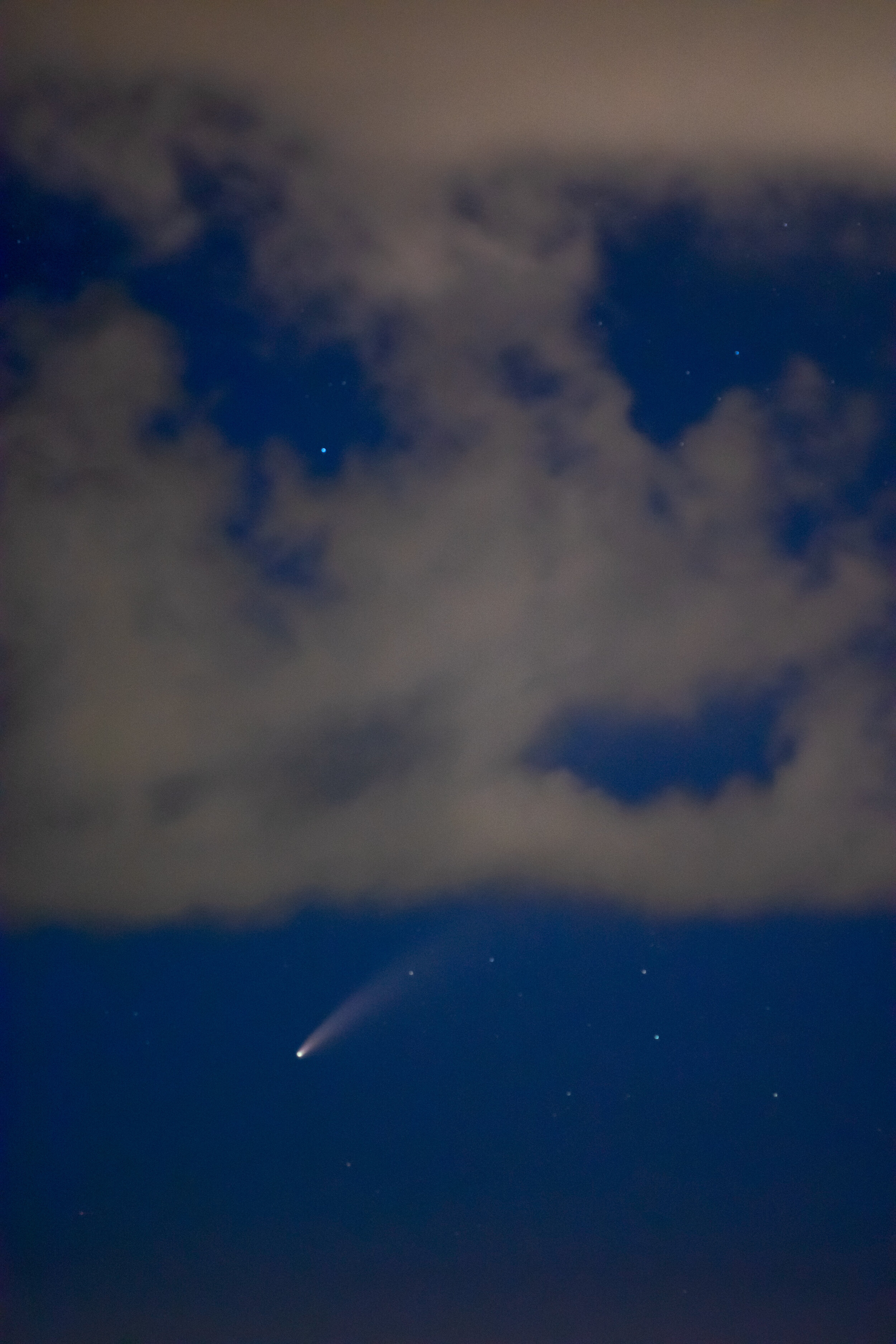 DSC_0610.jpg